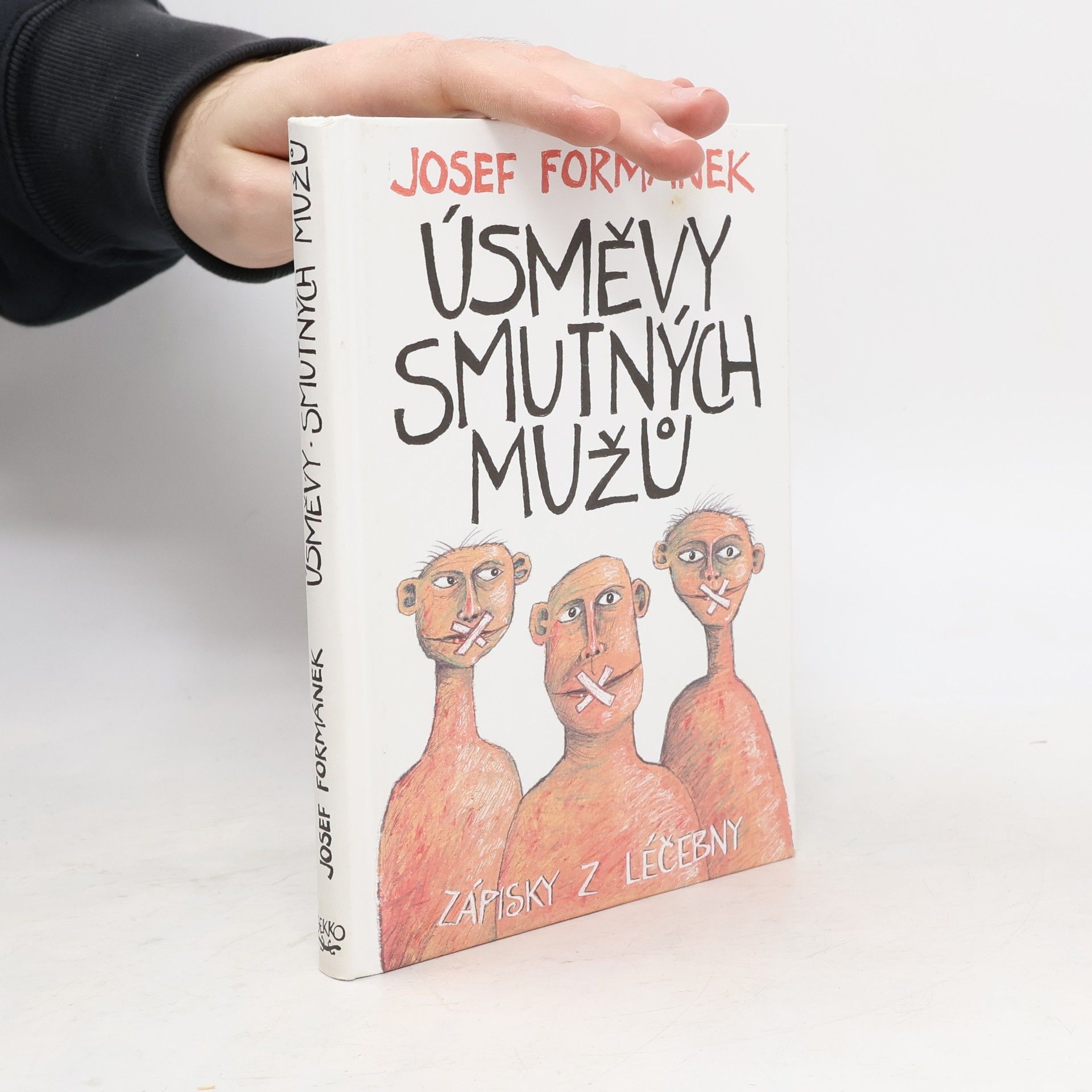 Úsměvy smutných mužů. Zápisky z léčebny