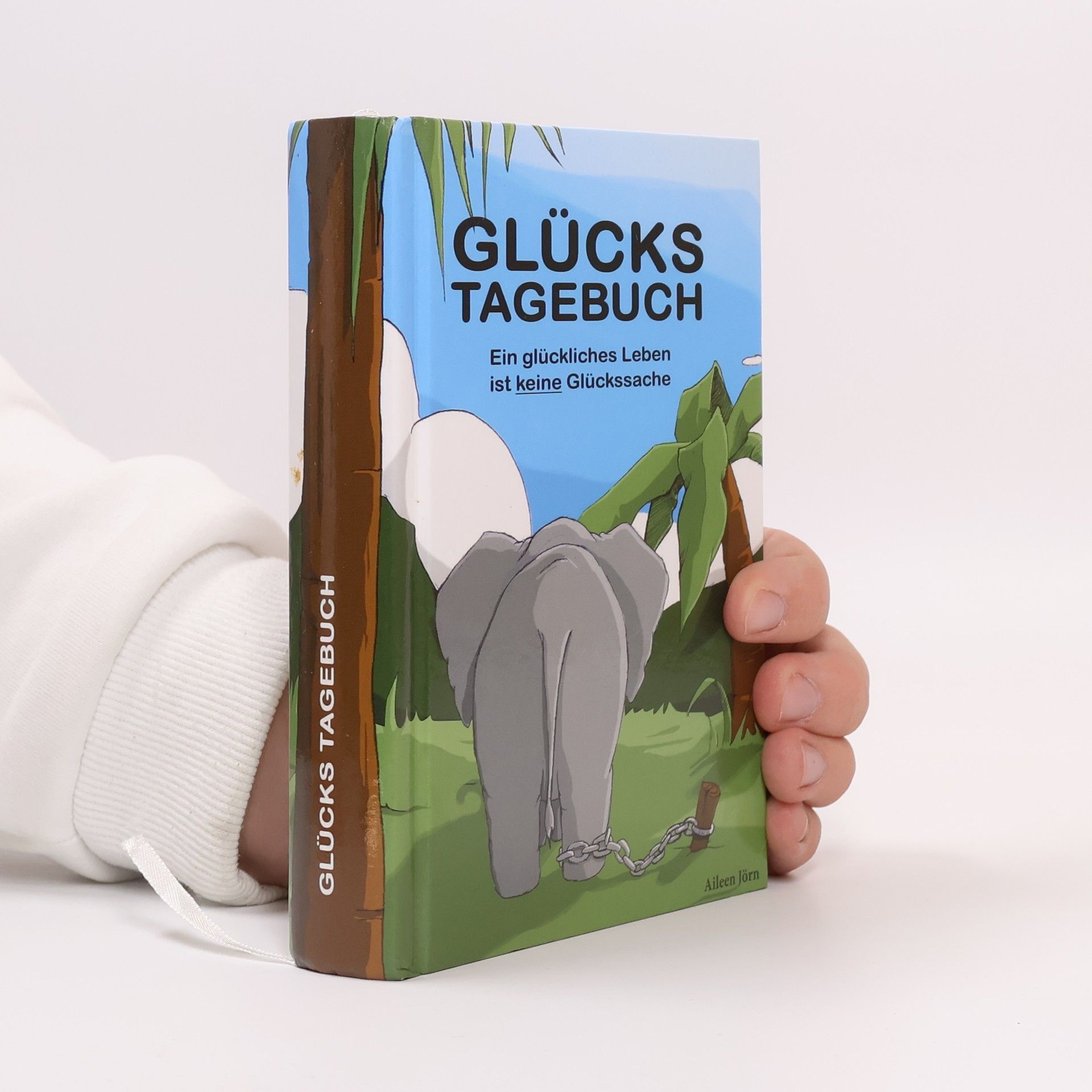 Aileen Jörn Glücks-Tagebuch