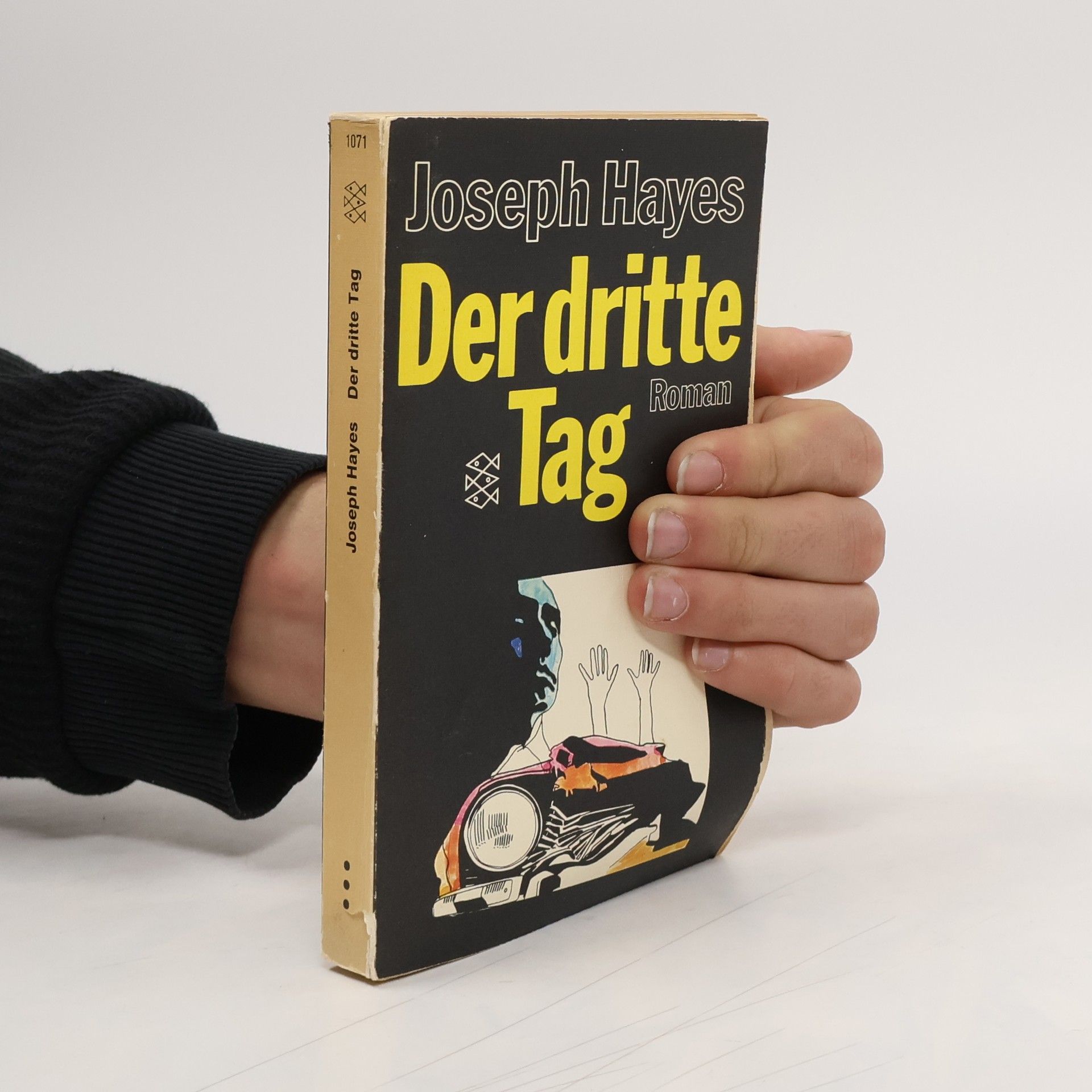 Joseph Hayes Der dritte Tag