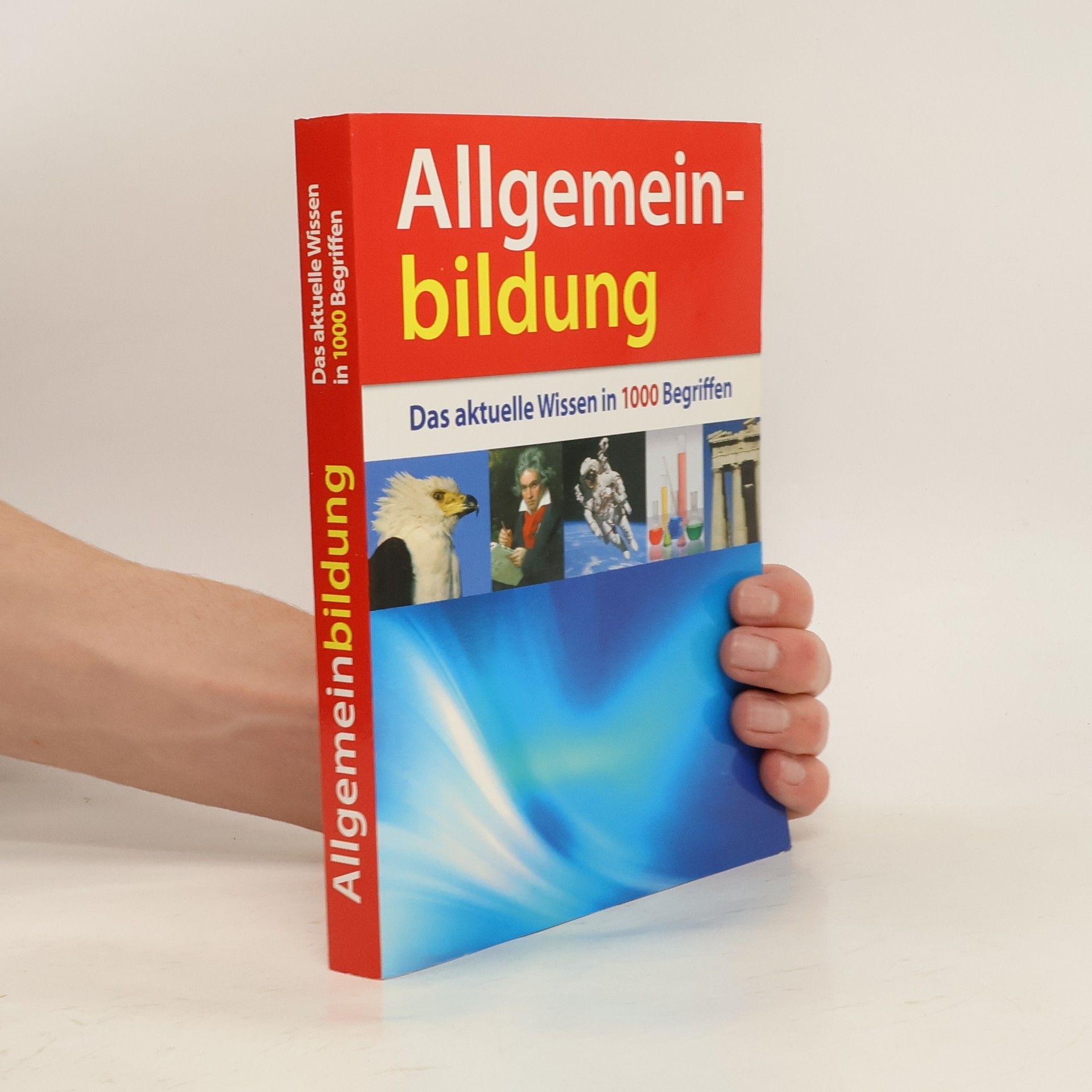 Angelika Tiefenbacher Allgemeinbildung: das aktuelle Wissen in 1000 Begriffen