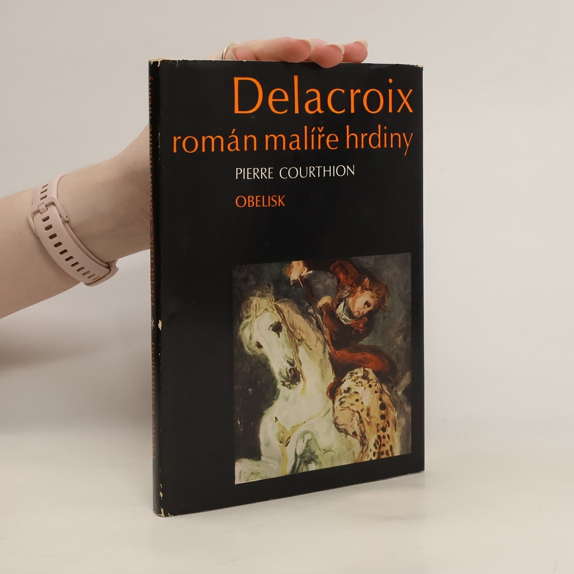 Delacroix. Román malíře hrdiny