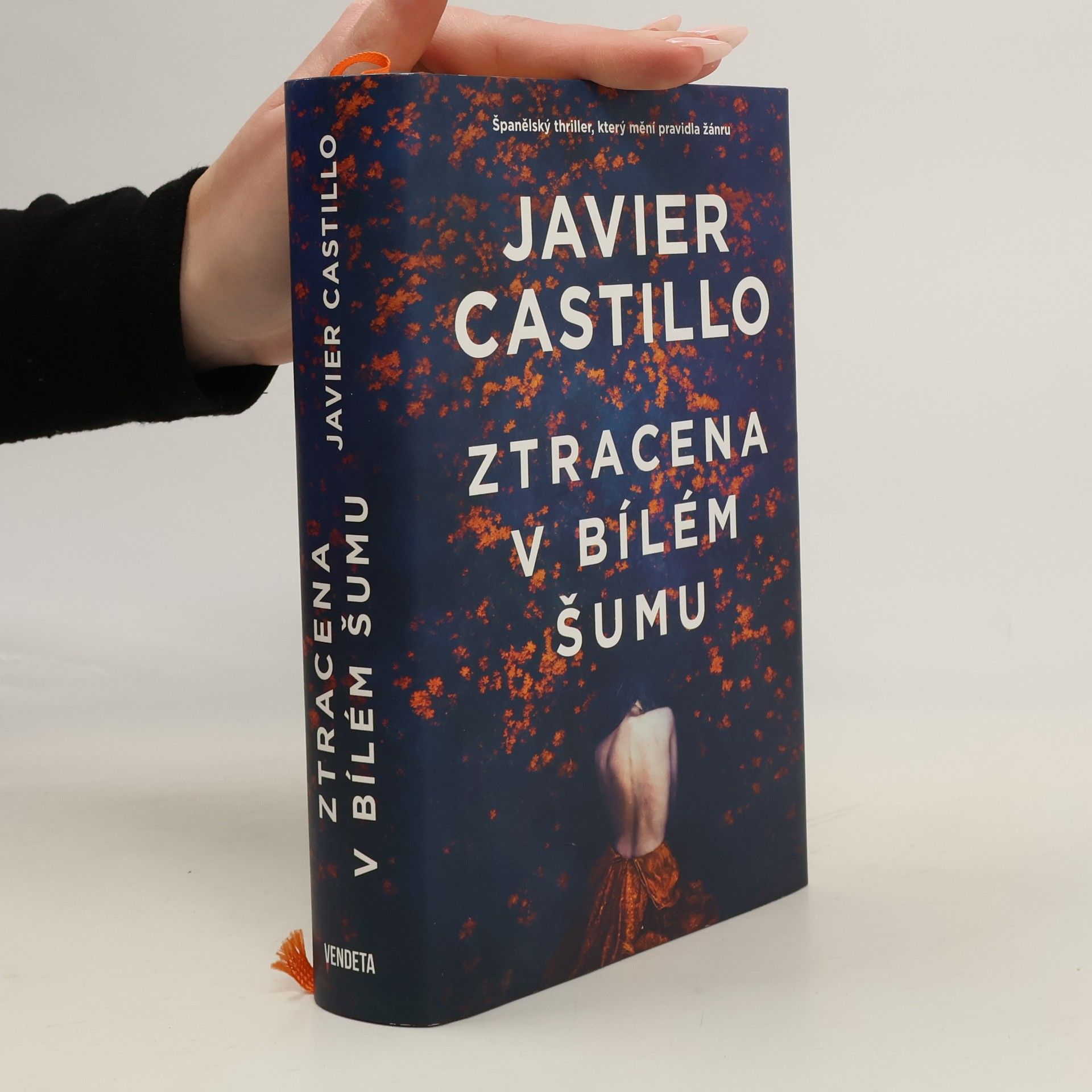 Javier Castillo Ztracena v bílém šumu