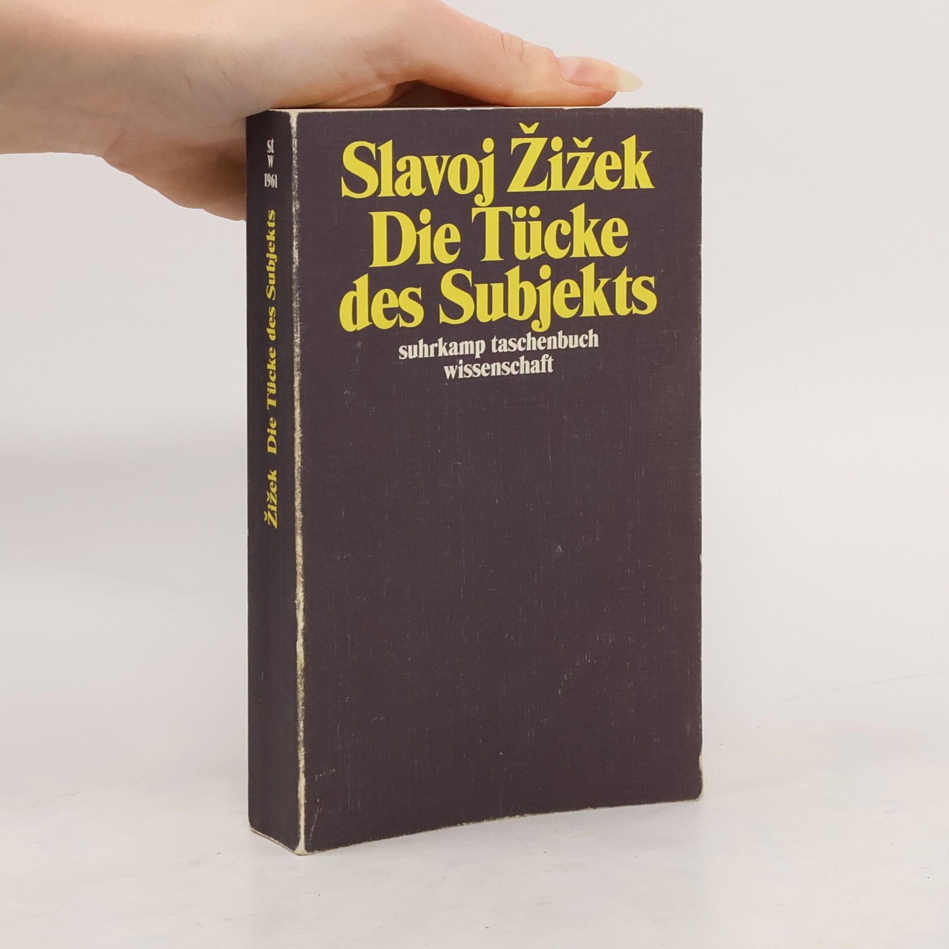 Slavoj Žižek Die Tücke des Subjekts