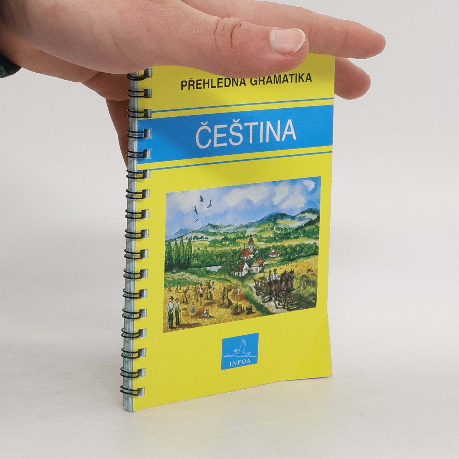 Martina Sobotíková Čeština. Přehledná gramatika