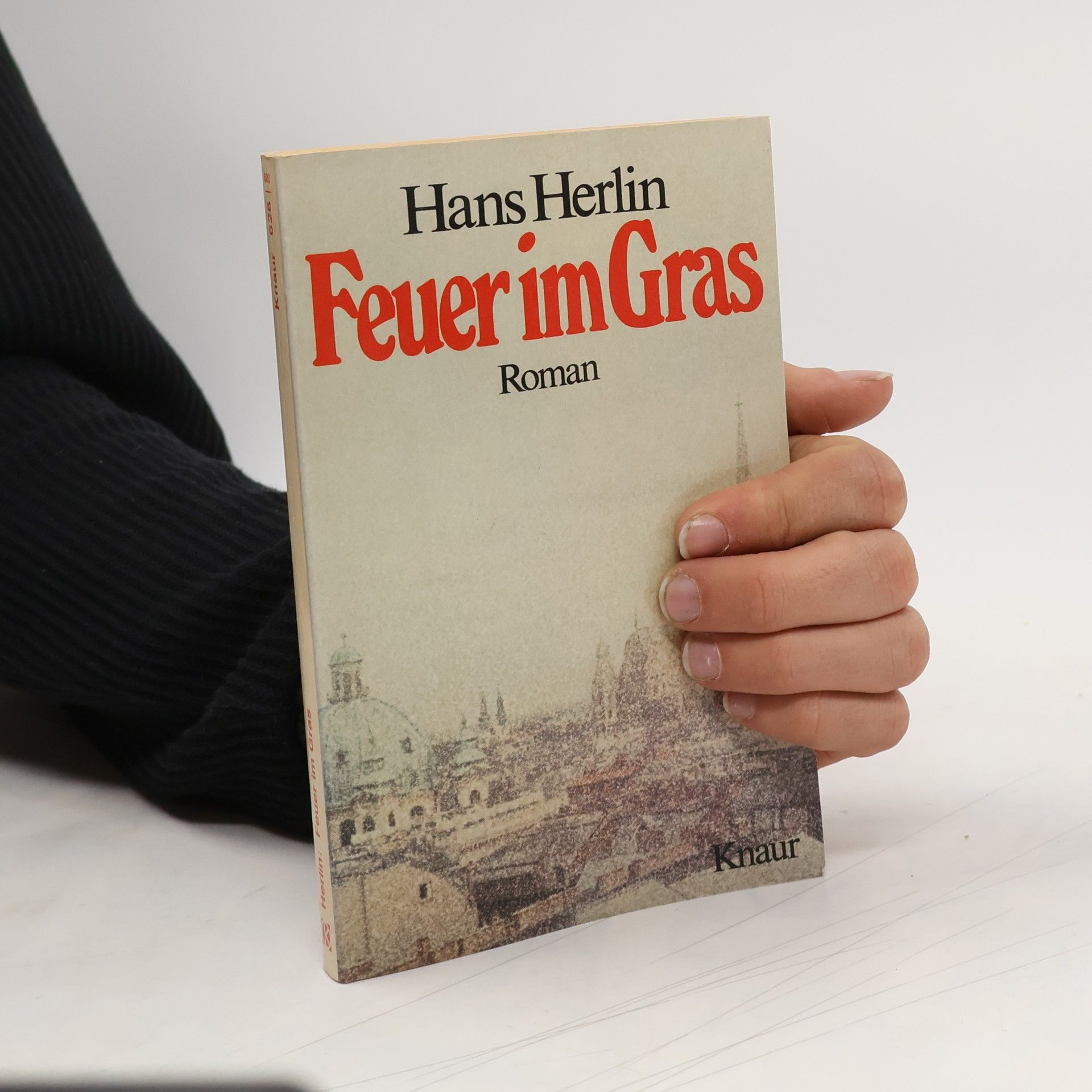 Hans Herlin Knaur Taschenbücher: Feuer im Gras