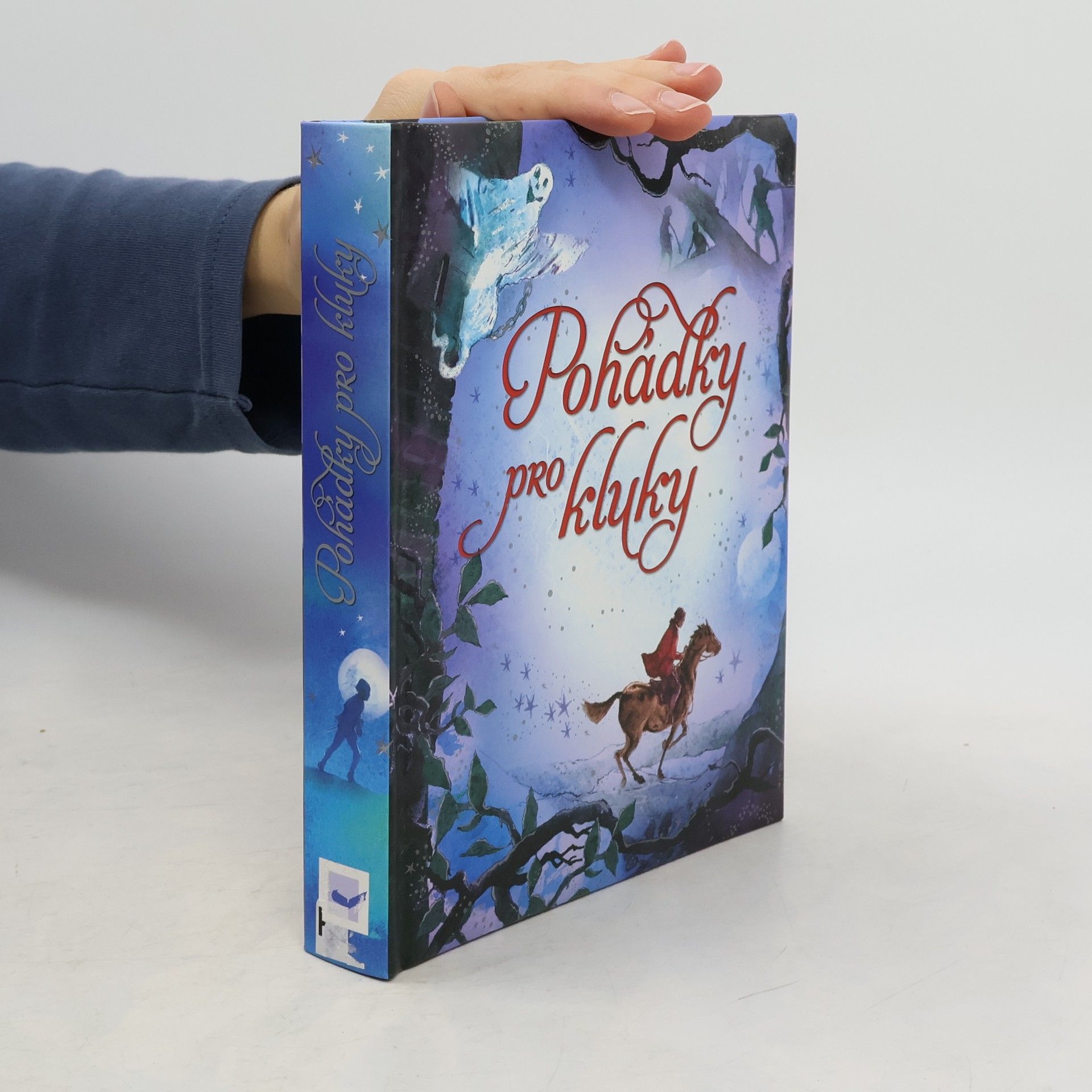 Autorenkollektiv Pohádky pro kluky