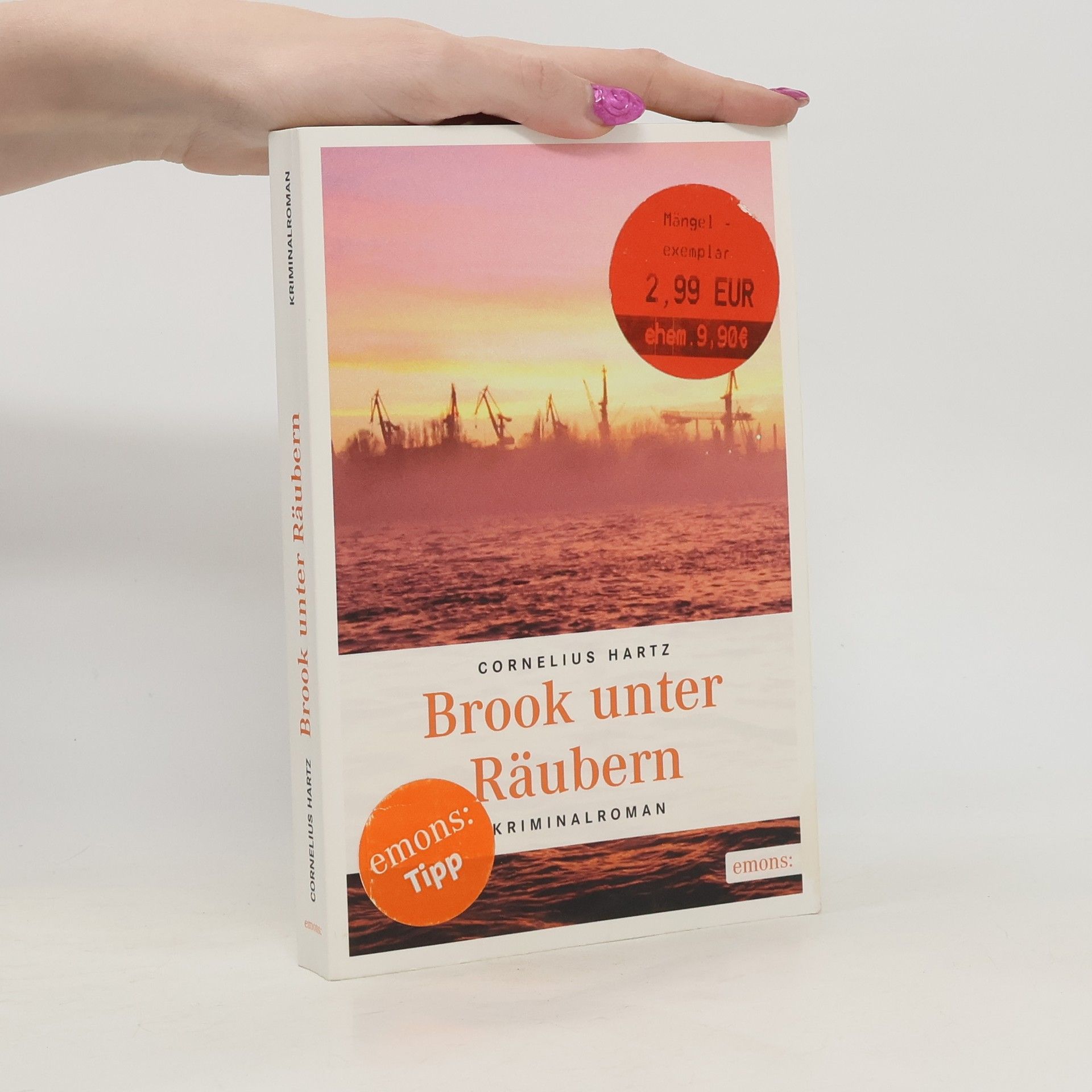 Cornelius Hartz Brook unter Räubern