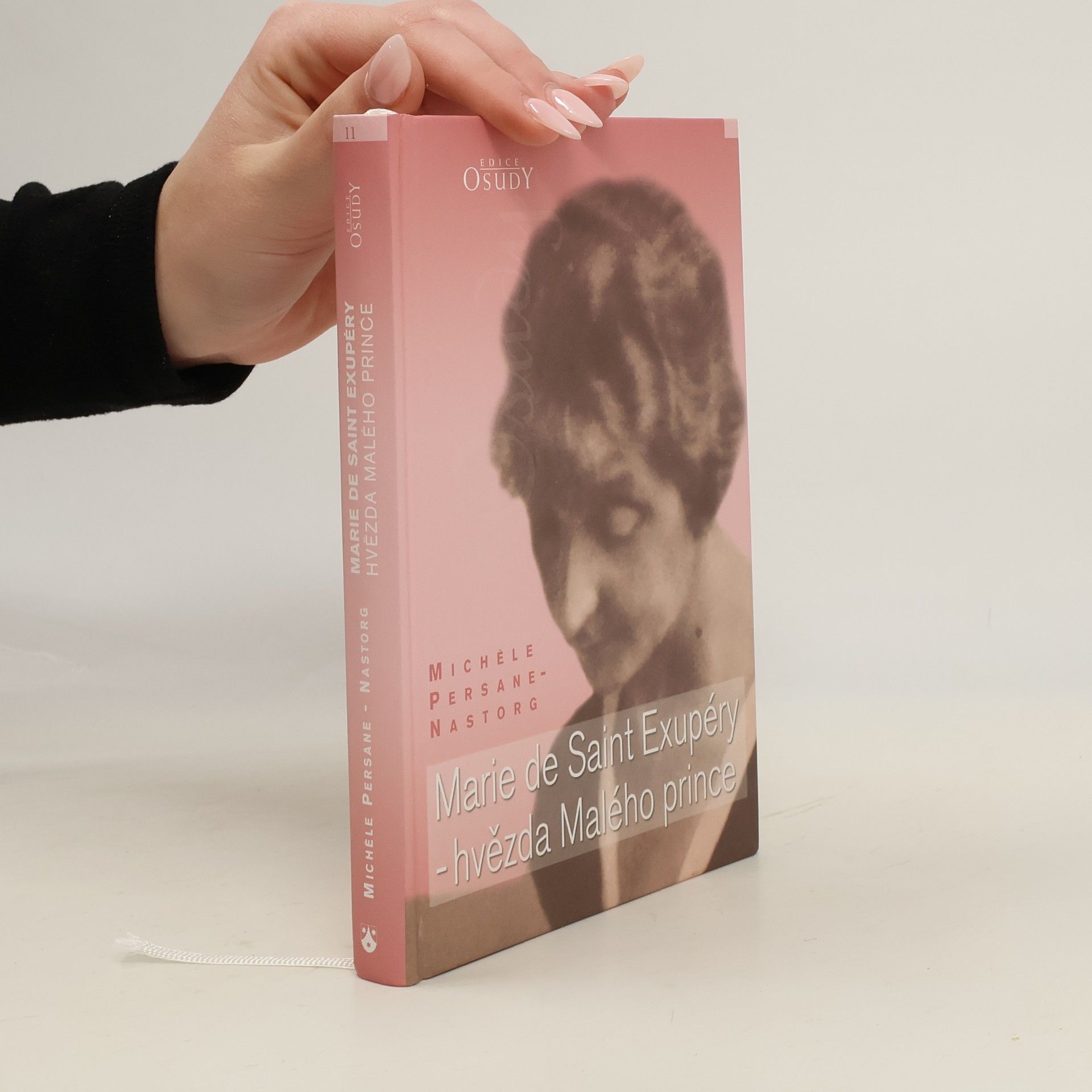 Michèle PersaneNastorg Marie de Saint Exupéry. Hvězda Malého prince