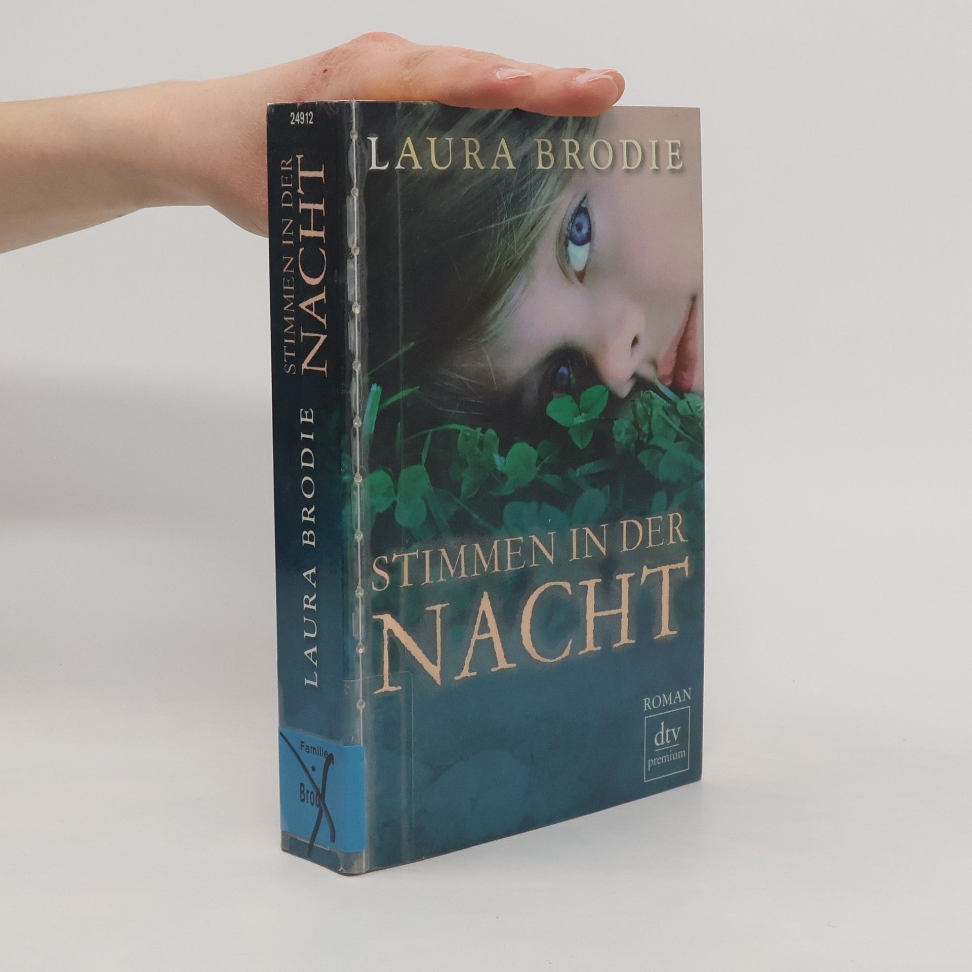 Laura Fairchild Brodie Stimmen in der Nacht