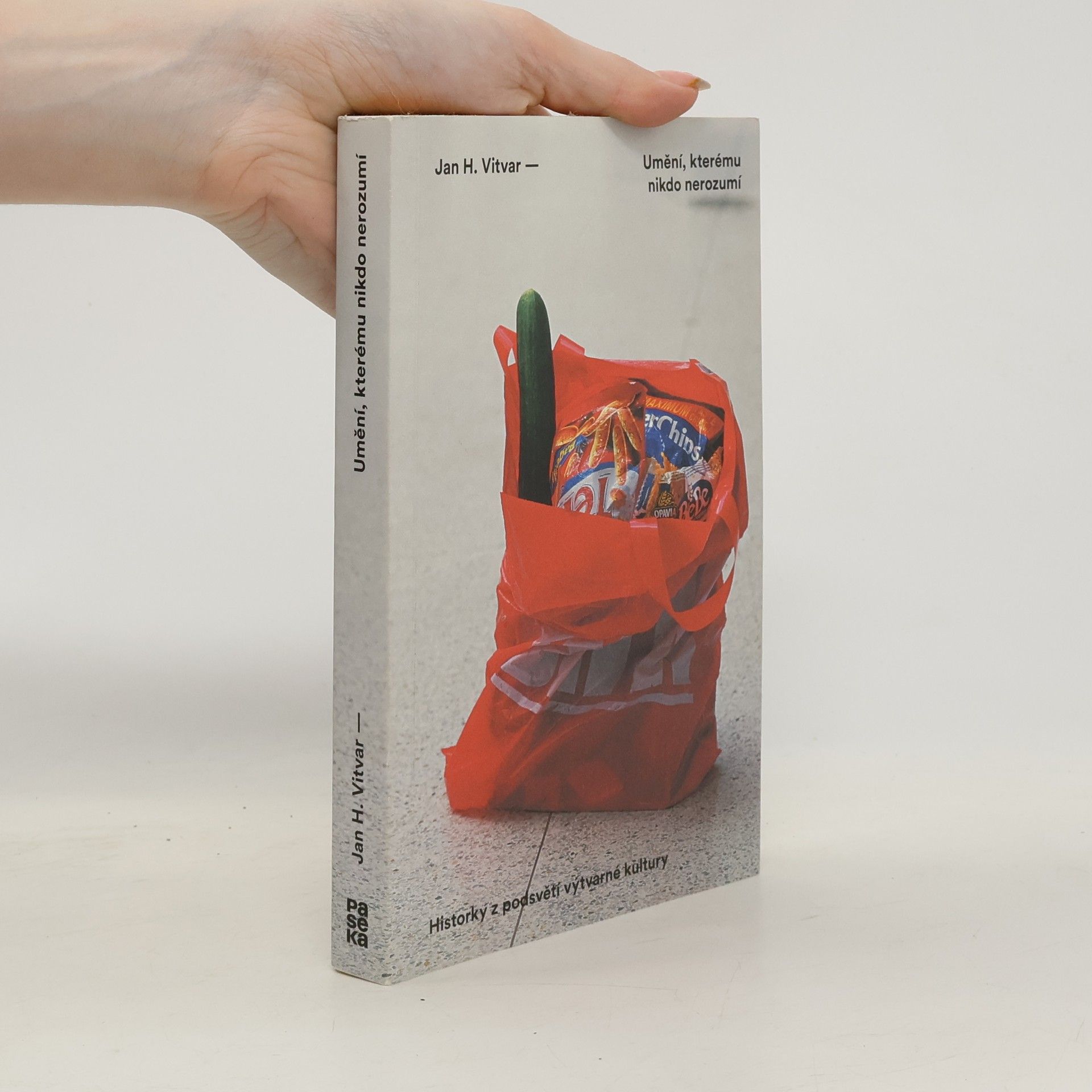 Jan H. Vitvar Umění, kterému nikdo nerozumí : historky z podsvětí výtvarné kultury