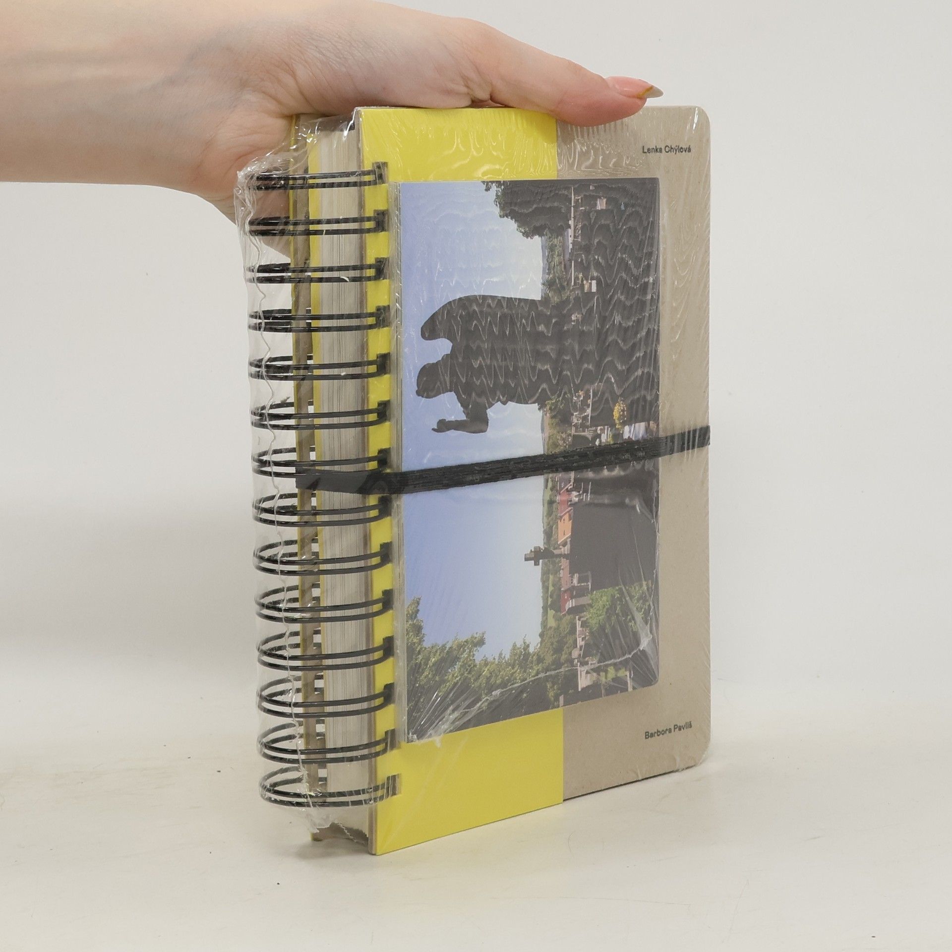 Vrstvy města : 20 kapitol o architektuře Benešova