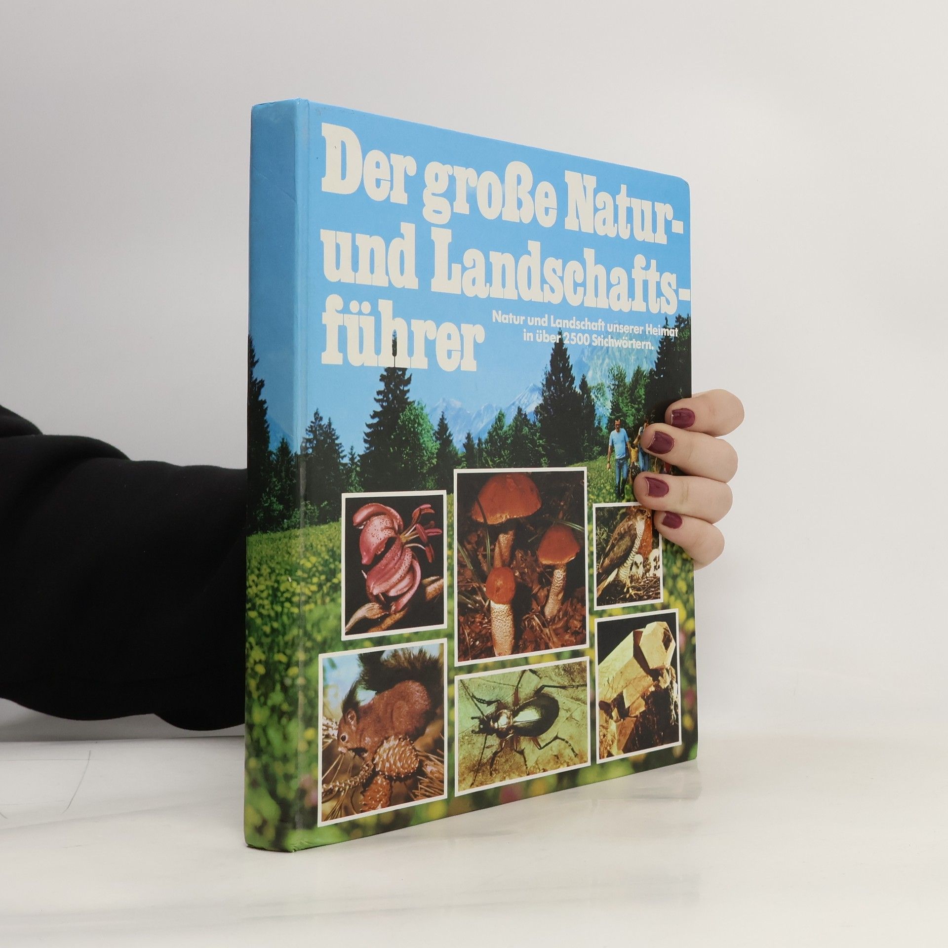 Collectif d'auteurs Der große Natur- und Landschaftsführer