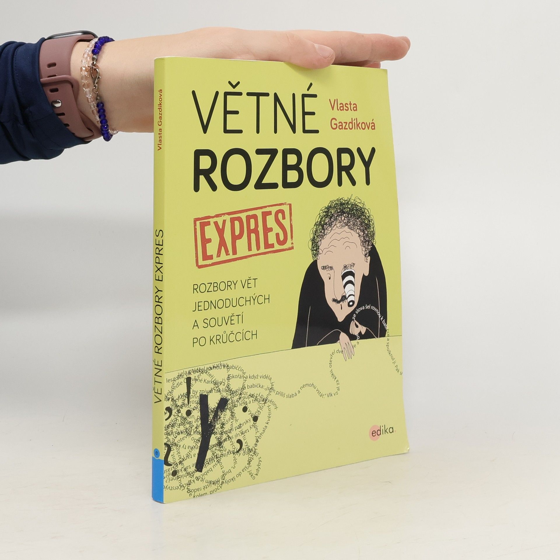 Větné rozbory expres