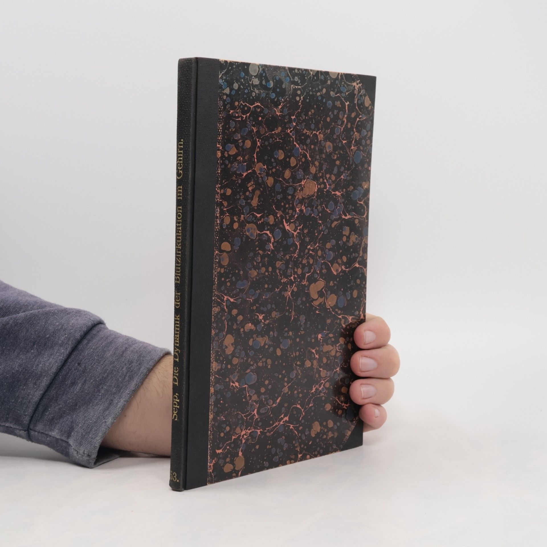 E. Sepp Die Dynamik der Blutzirkulation im Gehirn