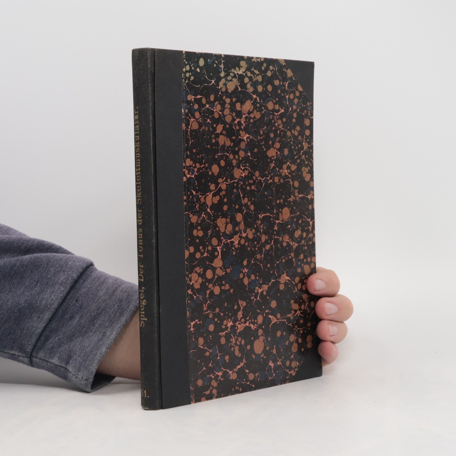 E. A. Spiegel Der Tonus der Skelettmuskulatur (Monographien aus dem Gesamtgebiete der Neurologie und Psychiatrie, 51)