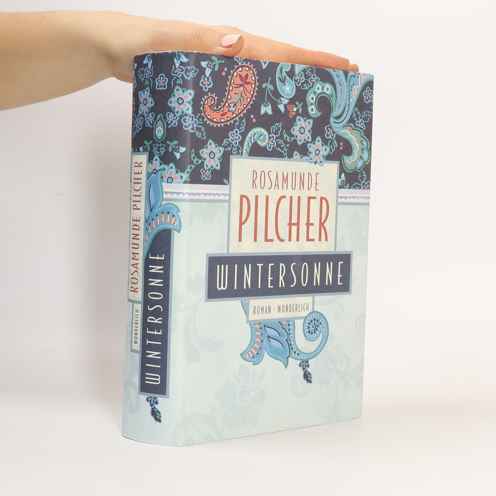 Rosamunde Pilcher Wintersonne