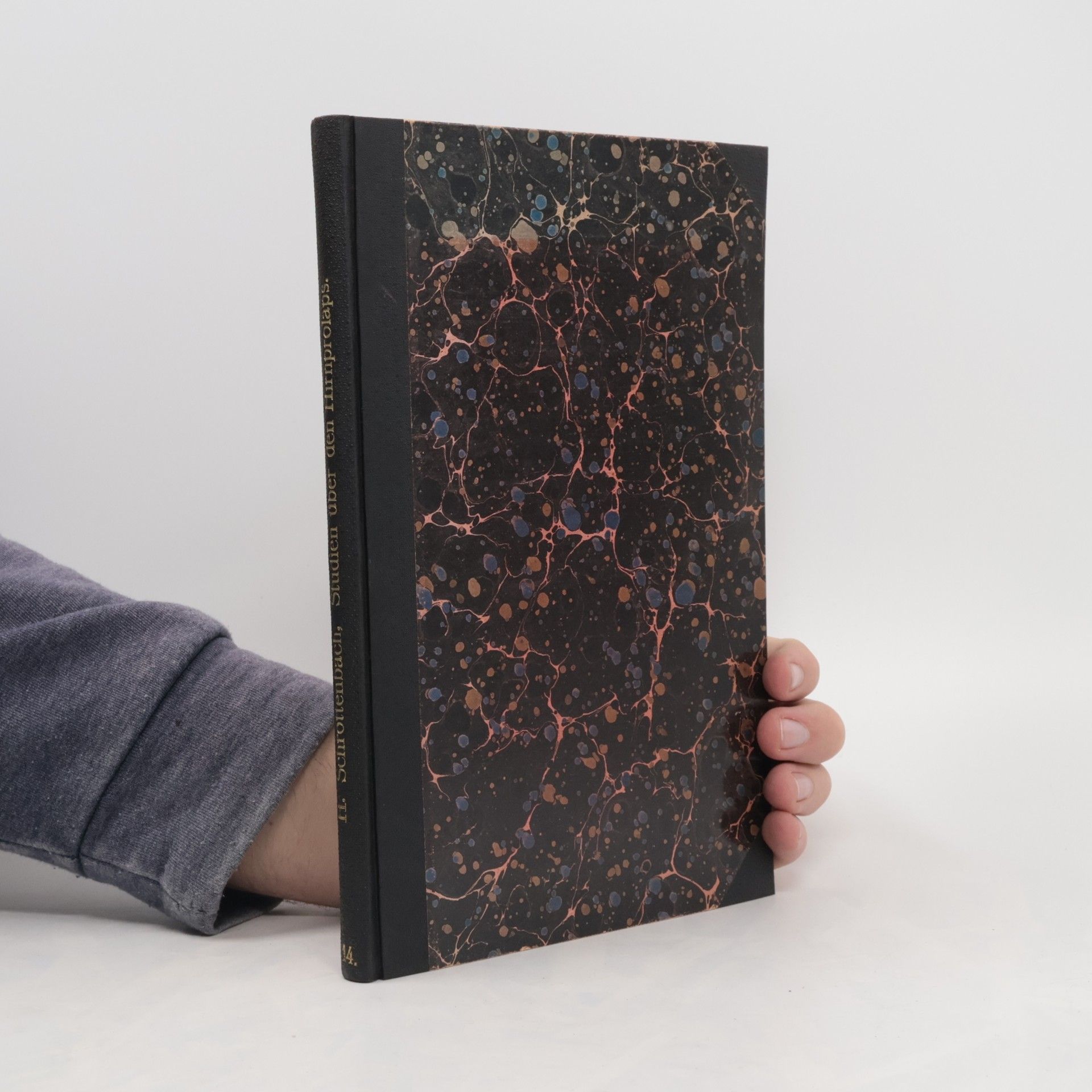 Heinz Schrottenbach Studien über den Hirnprolaps