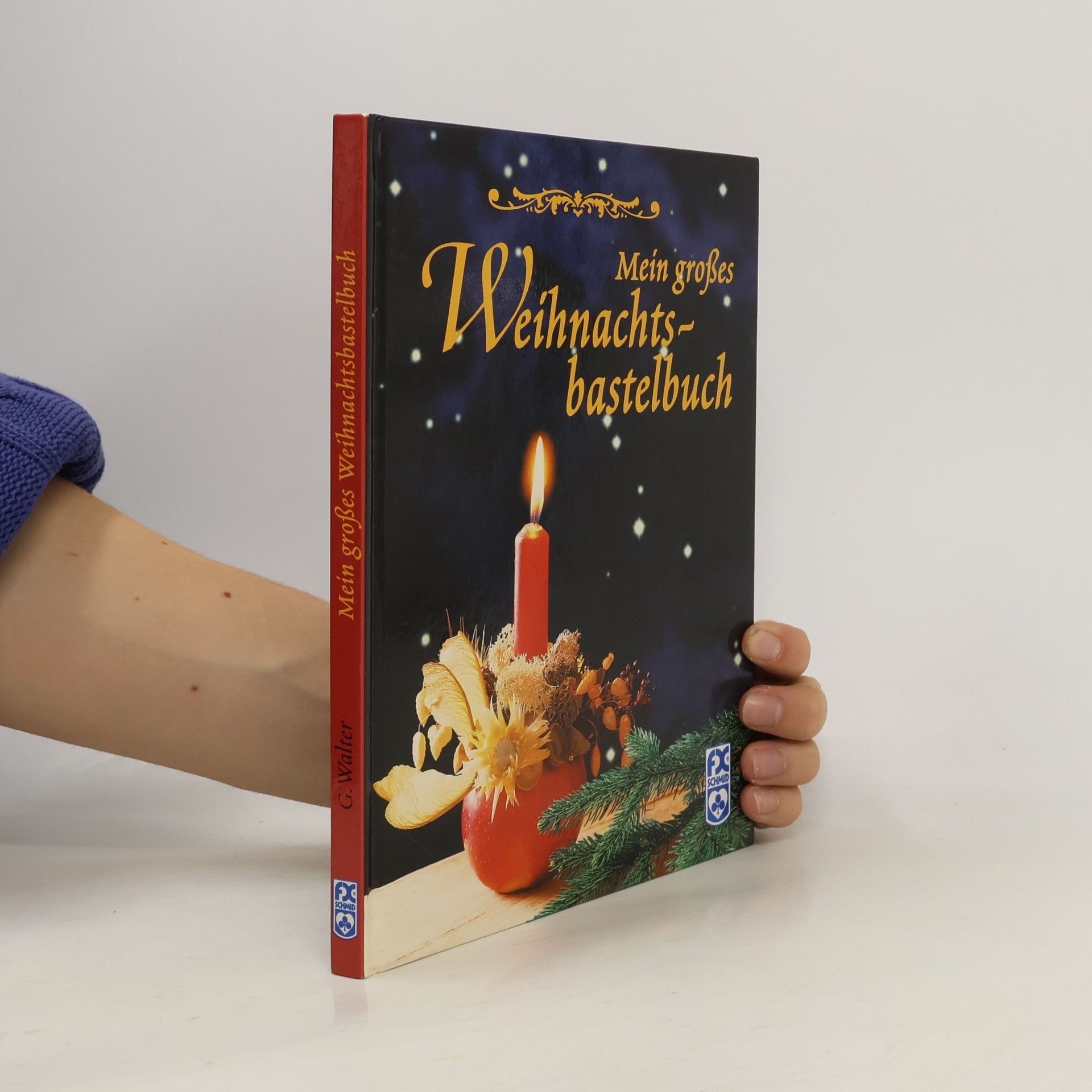 Mein grosses Weihnachtsbastelbuch