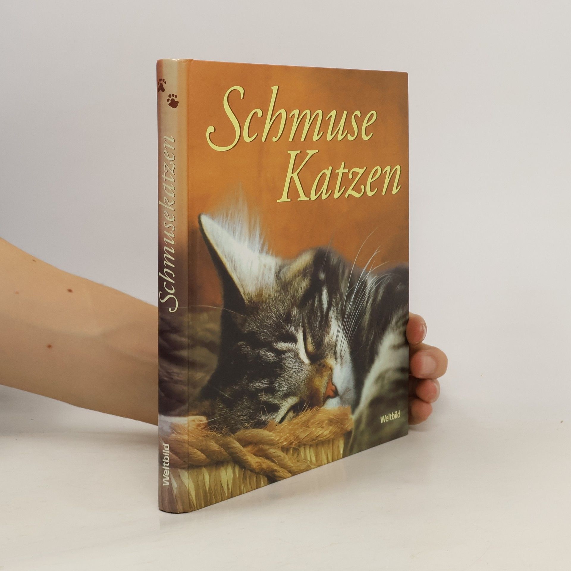 Monika Auberger Schmuse-Katzen