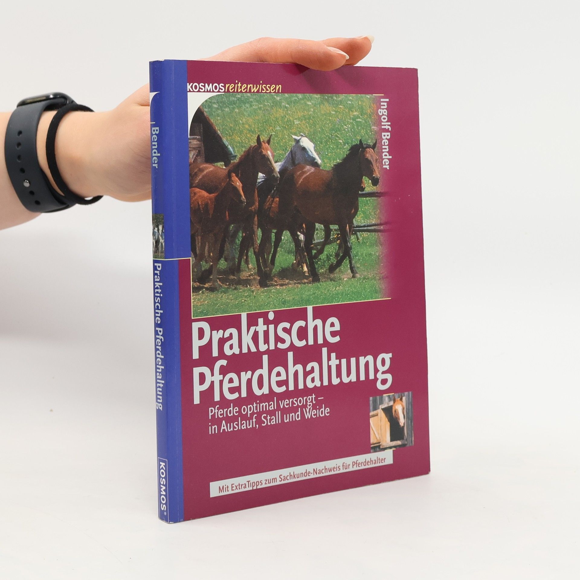 Praktische Pferdehaltung. Pferde optimal versorgt - in Auslauf, Stall und Weide. Mit ExtraTipps zum Sachkunde-Nachweis für Pferdehalter