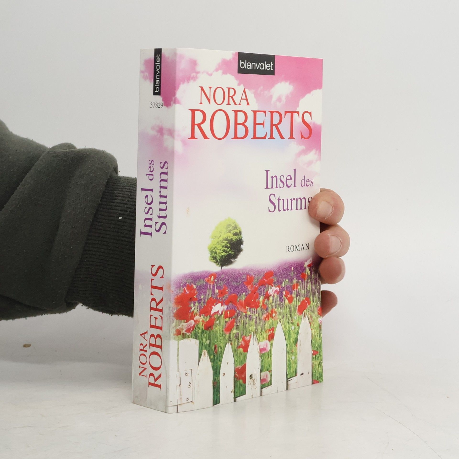 Nora Roberts Insel des Sturms