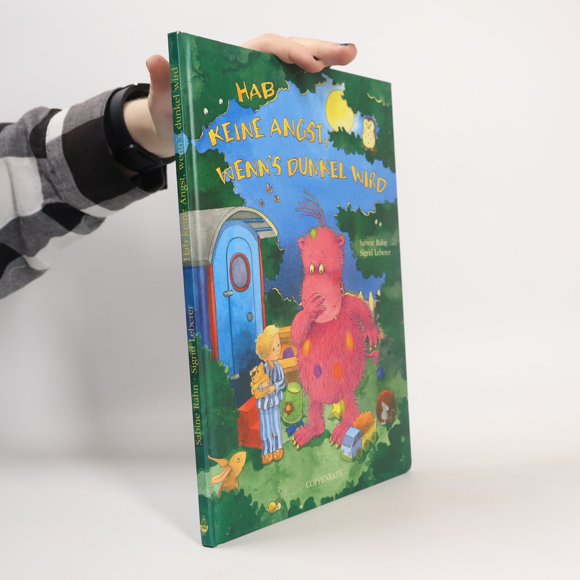 Sabine Rahn Hab keine Angst, wenn's dunkel wird