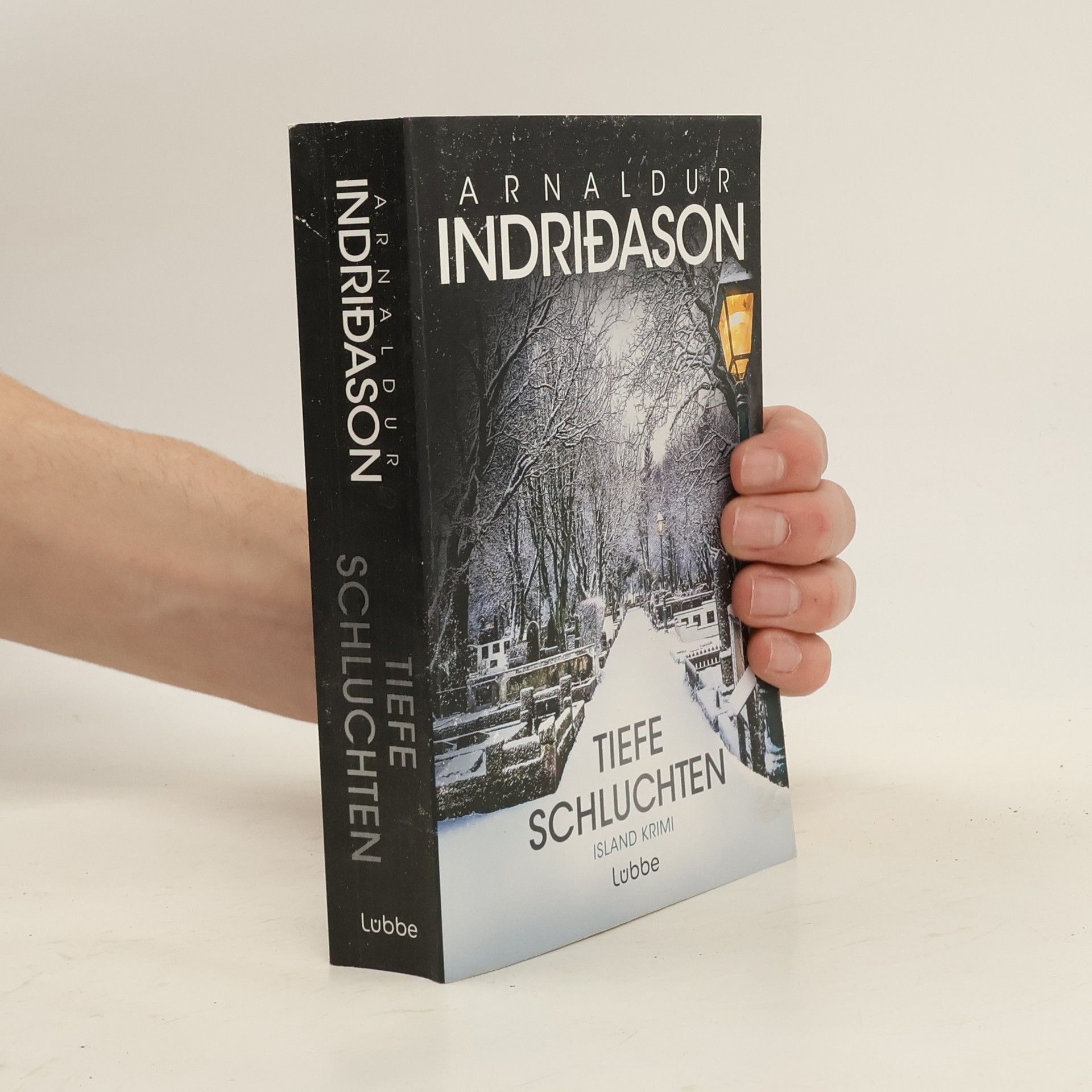 Arnaldur Indriðason Tiefe Schluchten