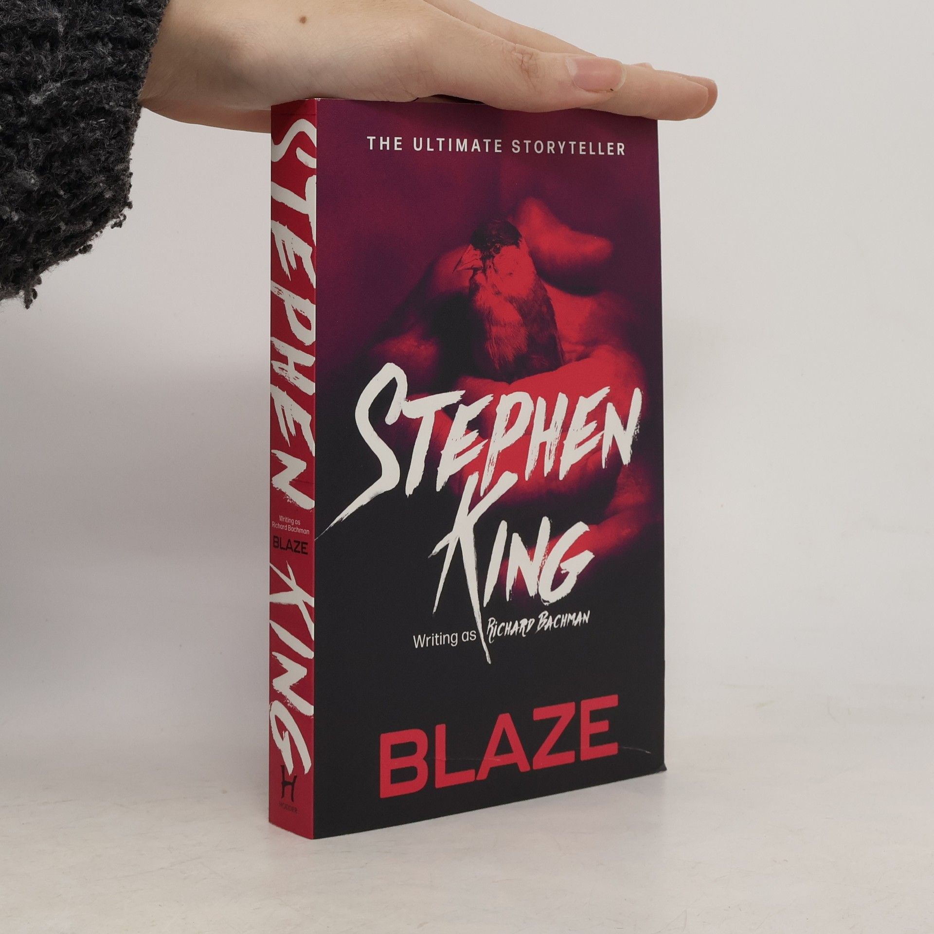Stephen King Blaze