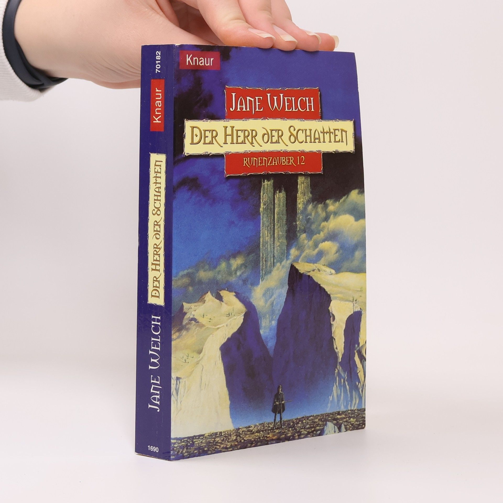 Runenzauber - 12: Der Herr der Schatten