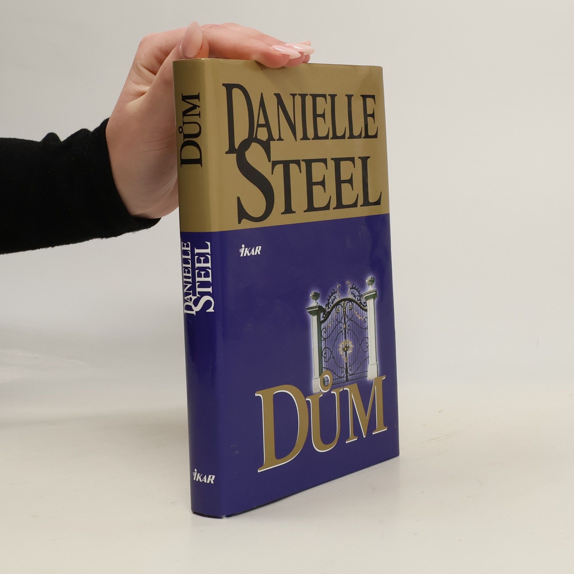 Danielle Steel Dům