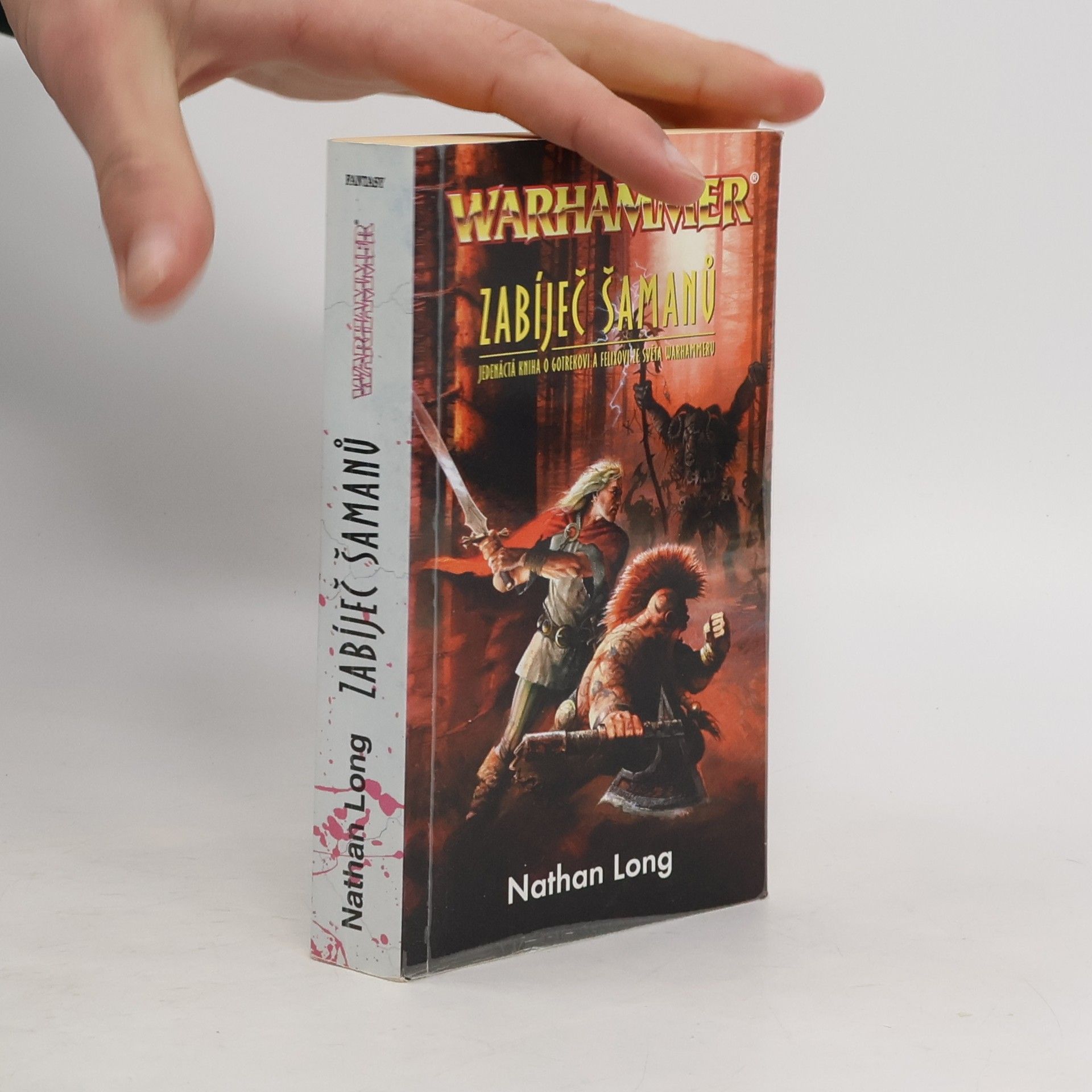 Nathan Long Zabíječ šamanů