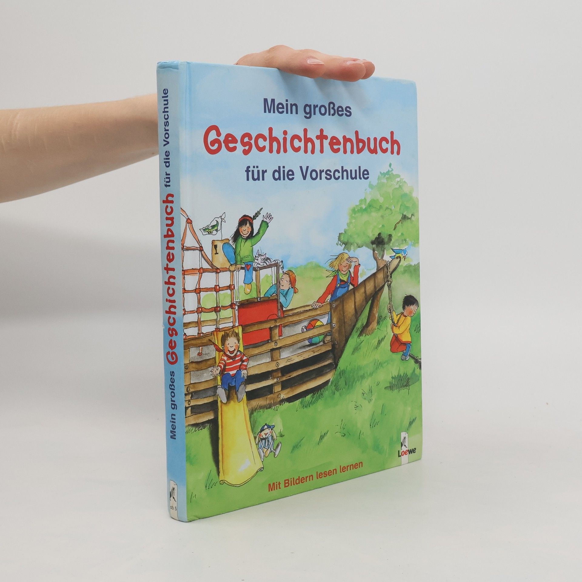 Autorenkollektiv Mein großes Geschichtenbuch für die Vorschule