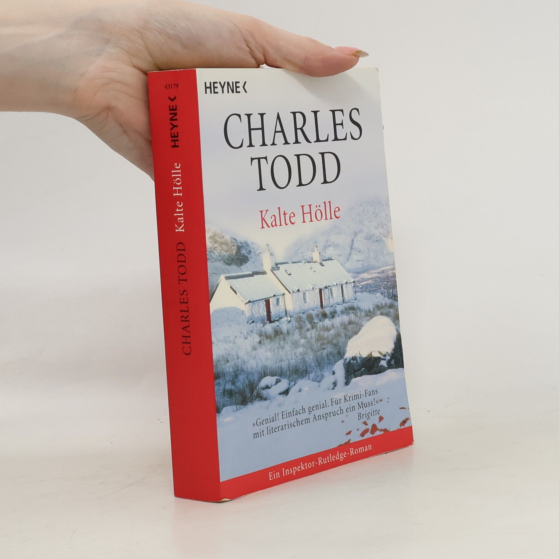 Charles Todd Kalte Hölle