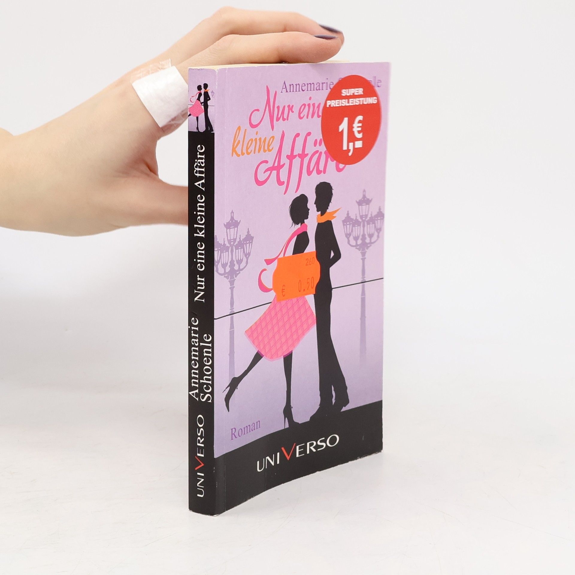 Annemarie Schoenle Nur eine kleine Affäre