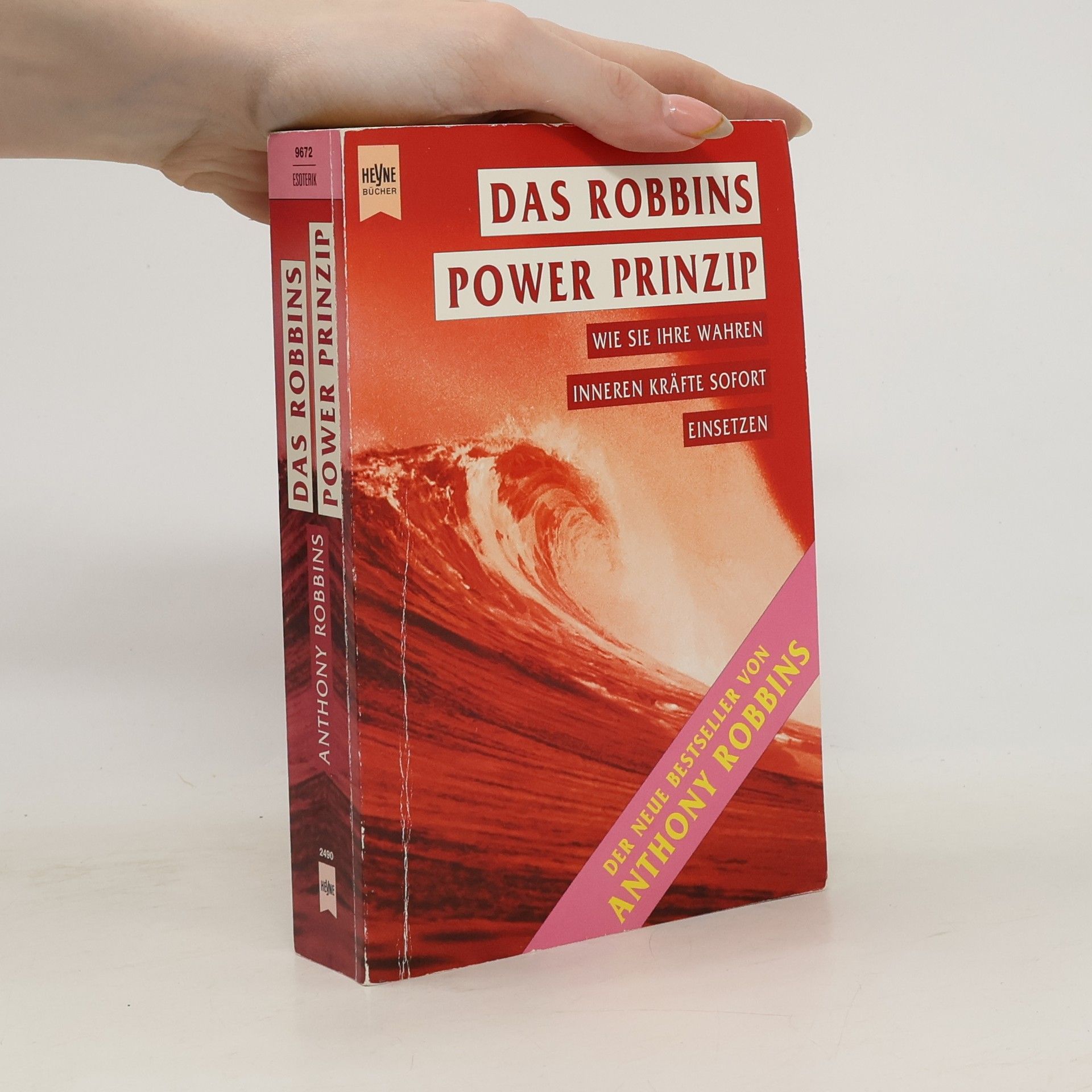 Anthony Robbins Das Robbins-Power-Prinzip