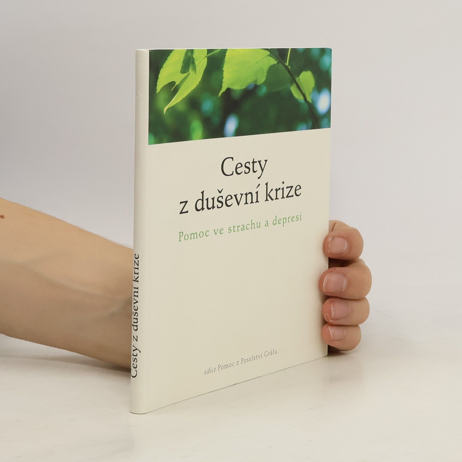 Autores varios Cesty z duševní krize : pomoc ve strachu a depresi