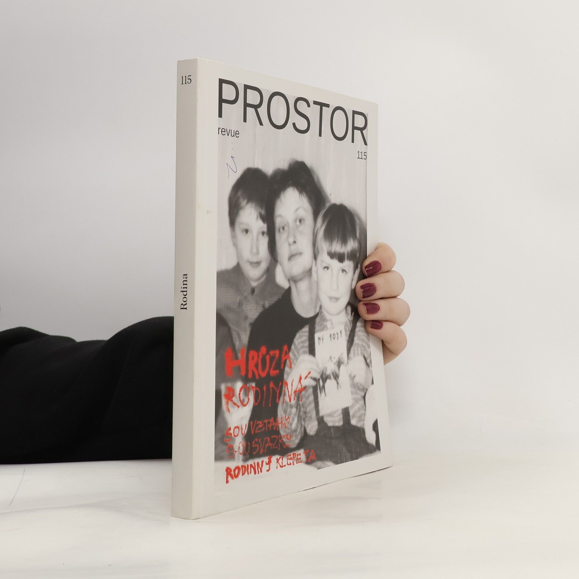 Kolektív autorov Revue Prostor. č.115