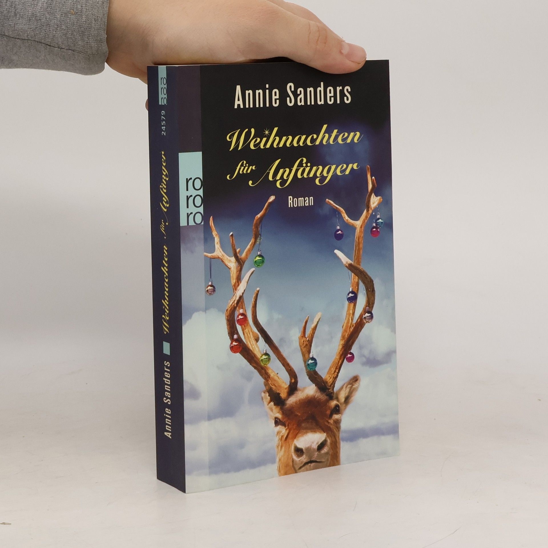 Annie Sanders Weihnachten für Anfänger