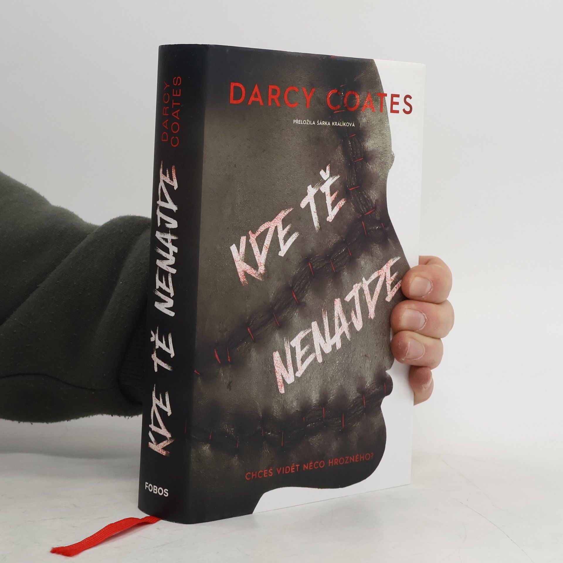 Darcy Coates Kde tě nenajde