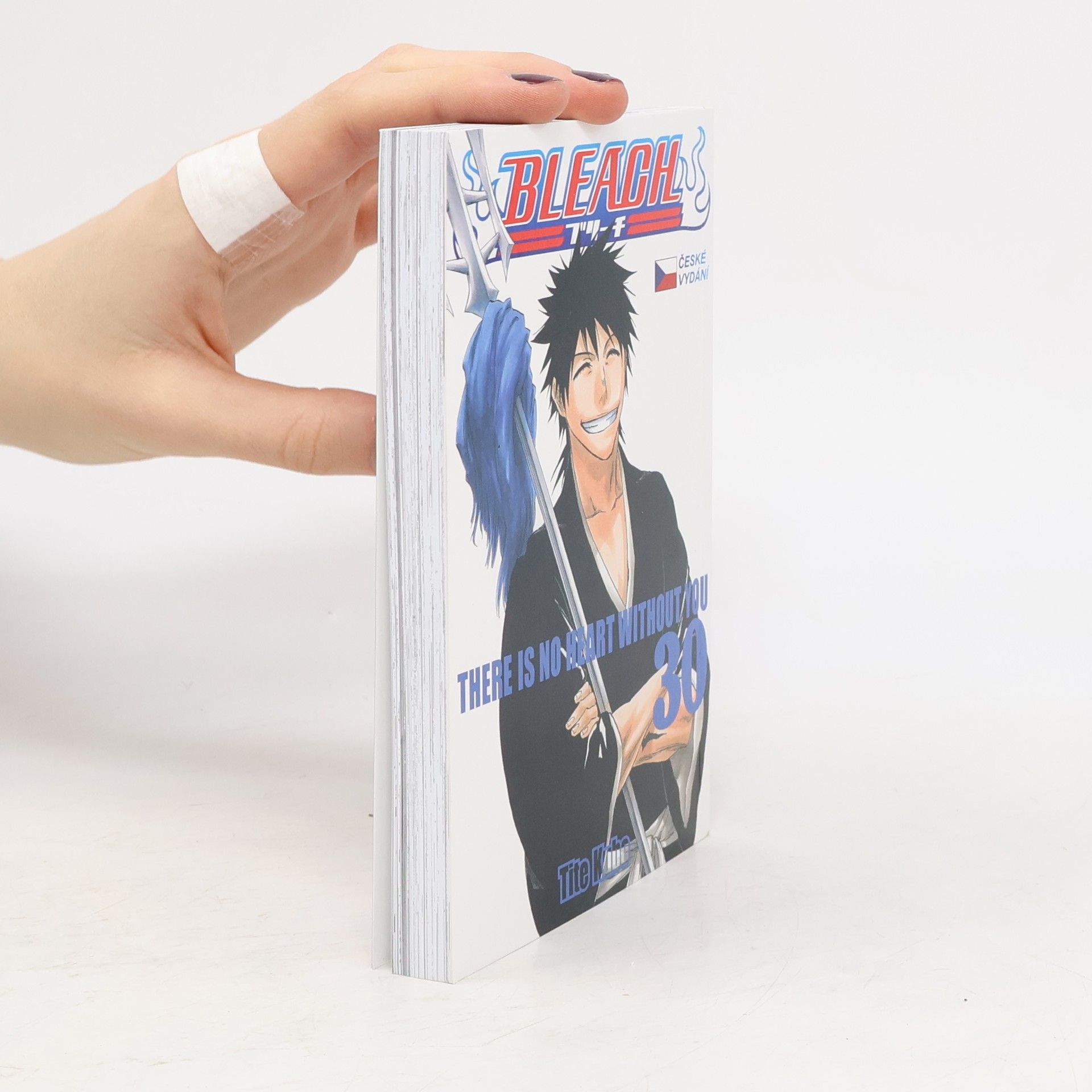 Bleach 30: There is no heart without you