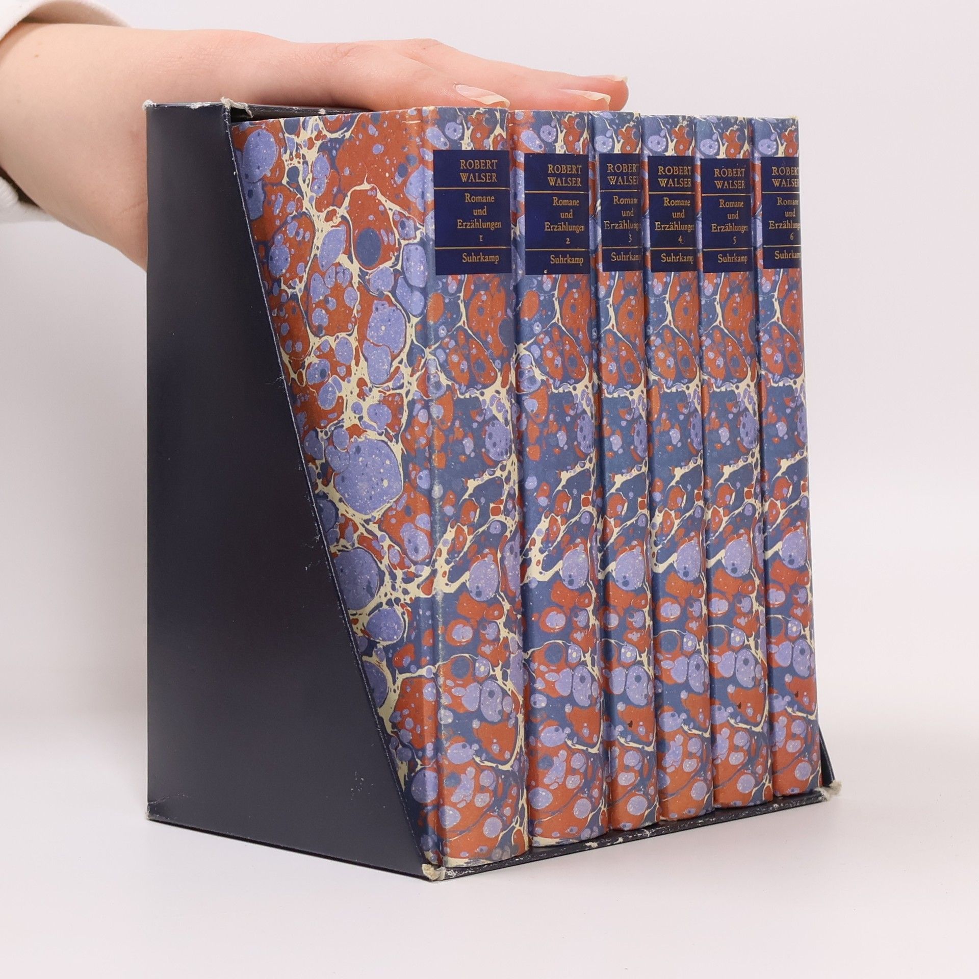 Robert Walser Romane und Erzählungen 1-6