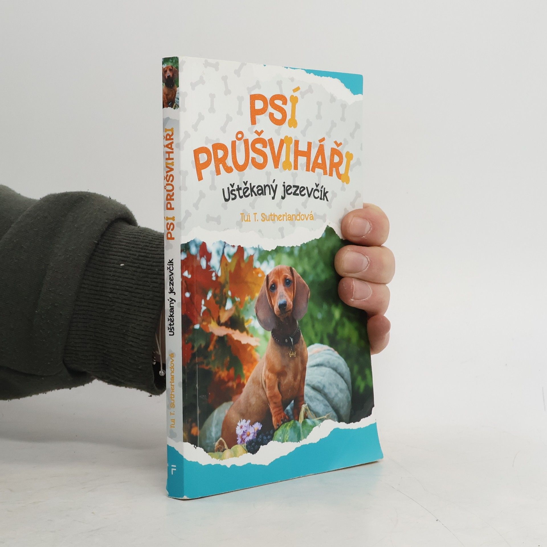 Tui Sutherland Psí průšviháři – Uštěkaný jezevčík