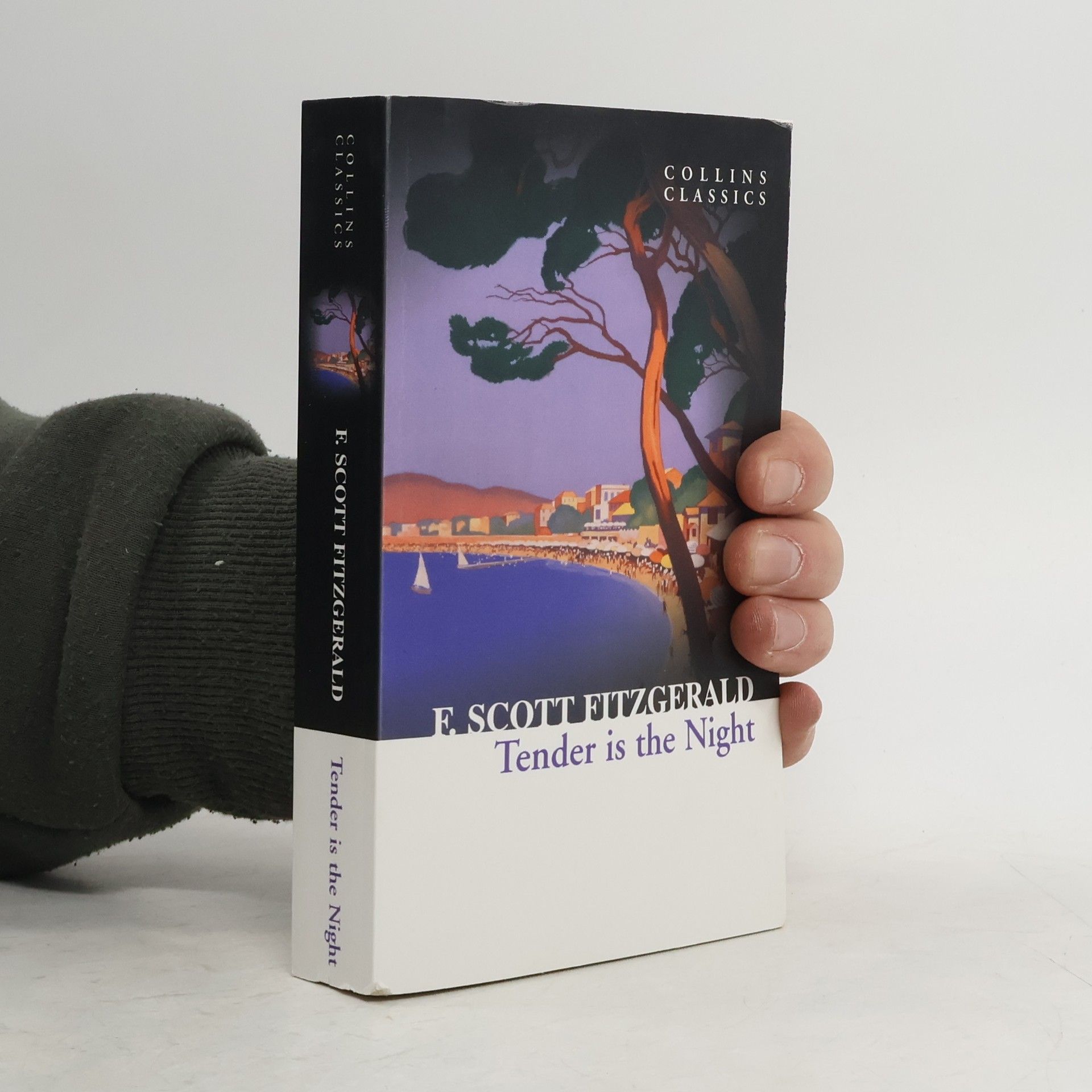 F. Scott Fitzgerald Tender is The Night