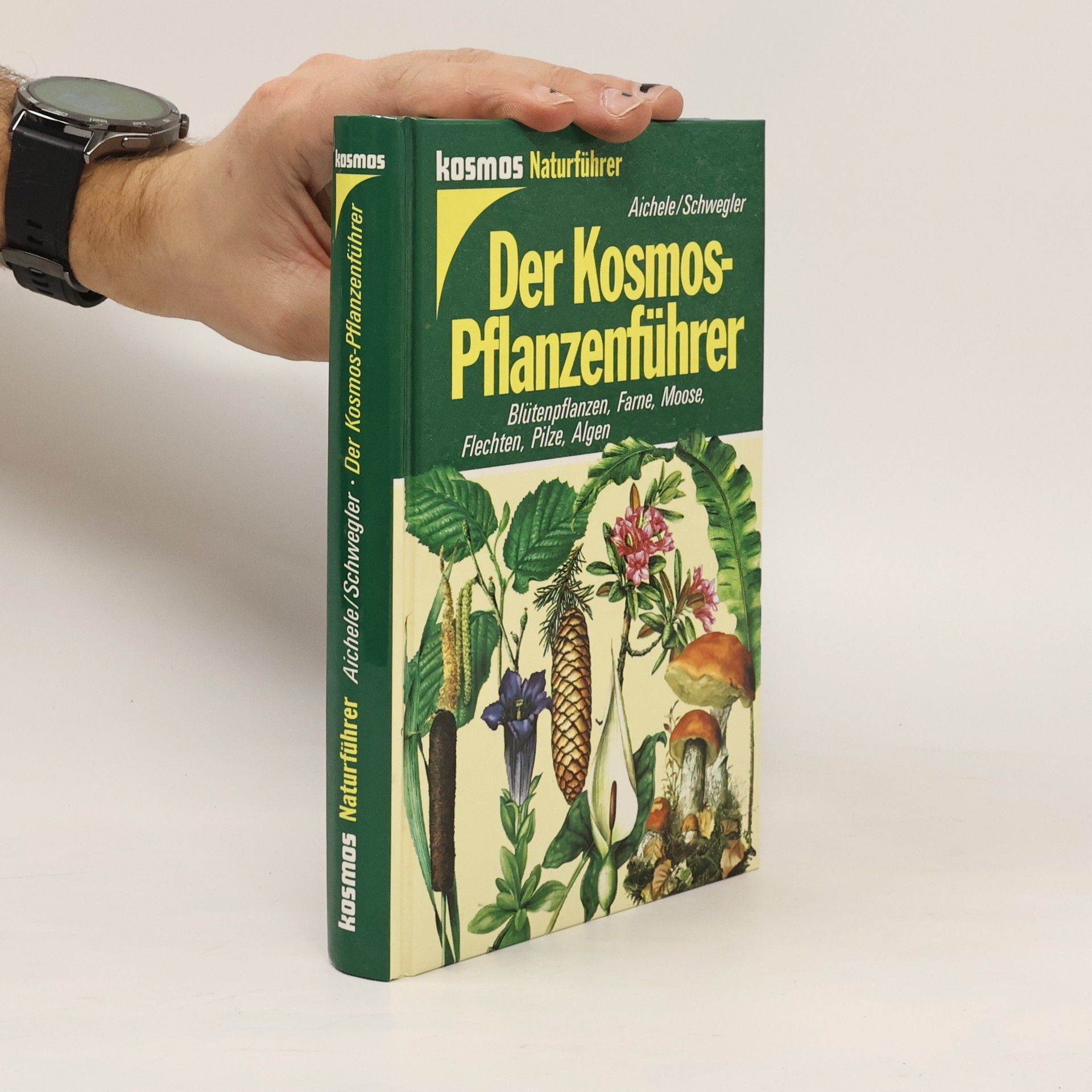 Der Kosmos-Pflanzenführer : Blütenpflanzen, Farne, Moose, Flechten, Pilze, Algen in 653 Farbbildern