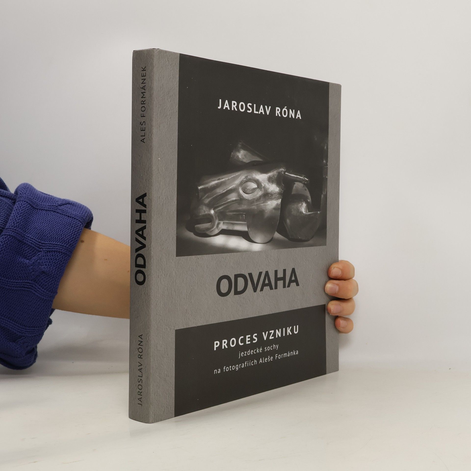 Jaroslav Róna Odvaha