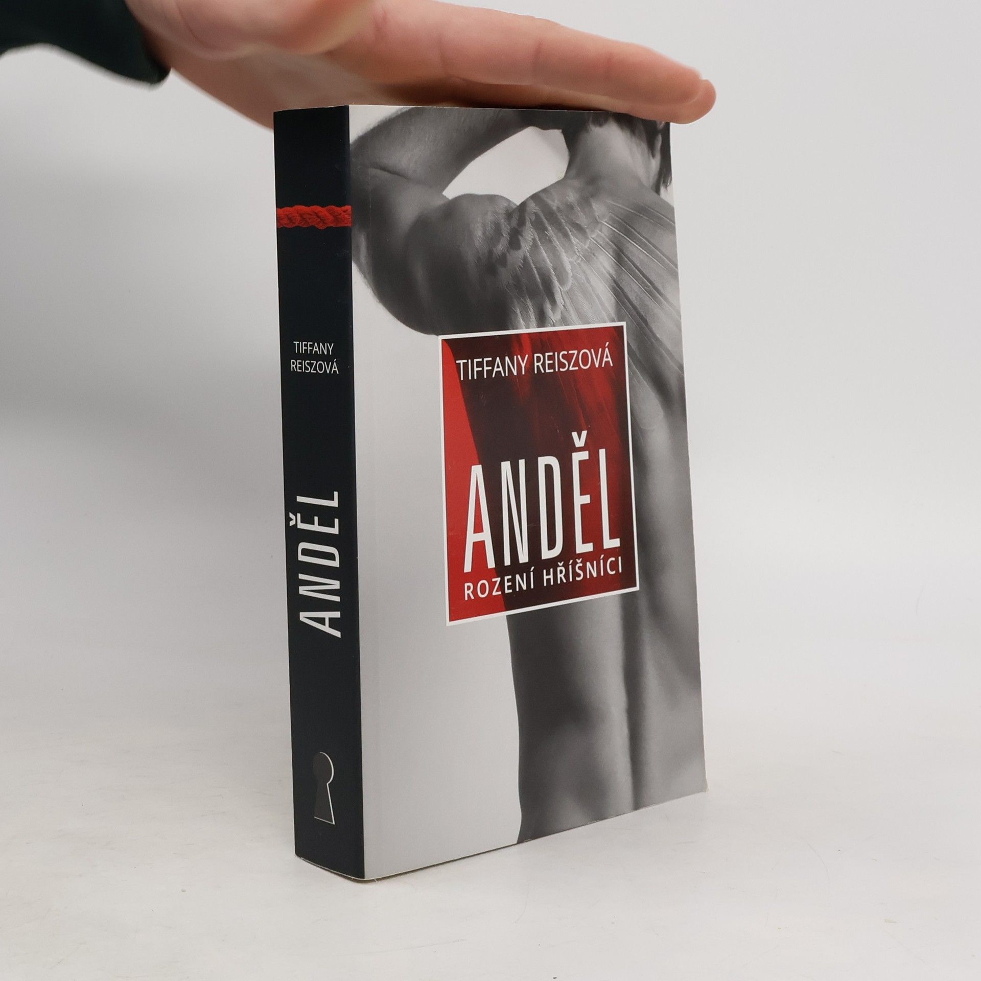 Tiffany Reisz Anděl