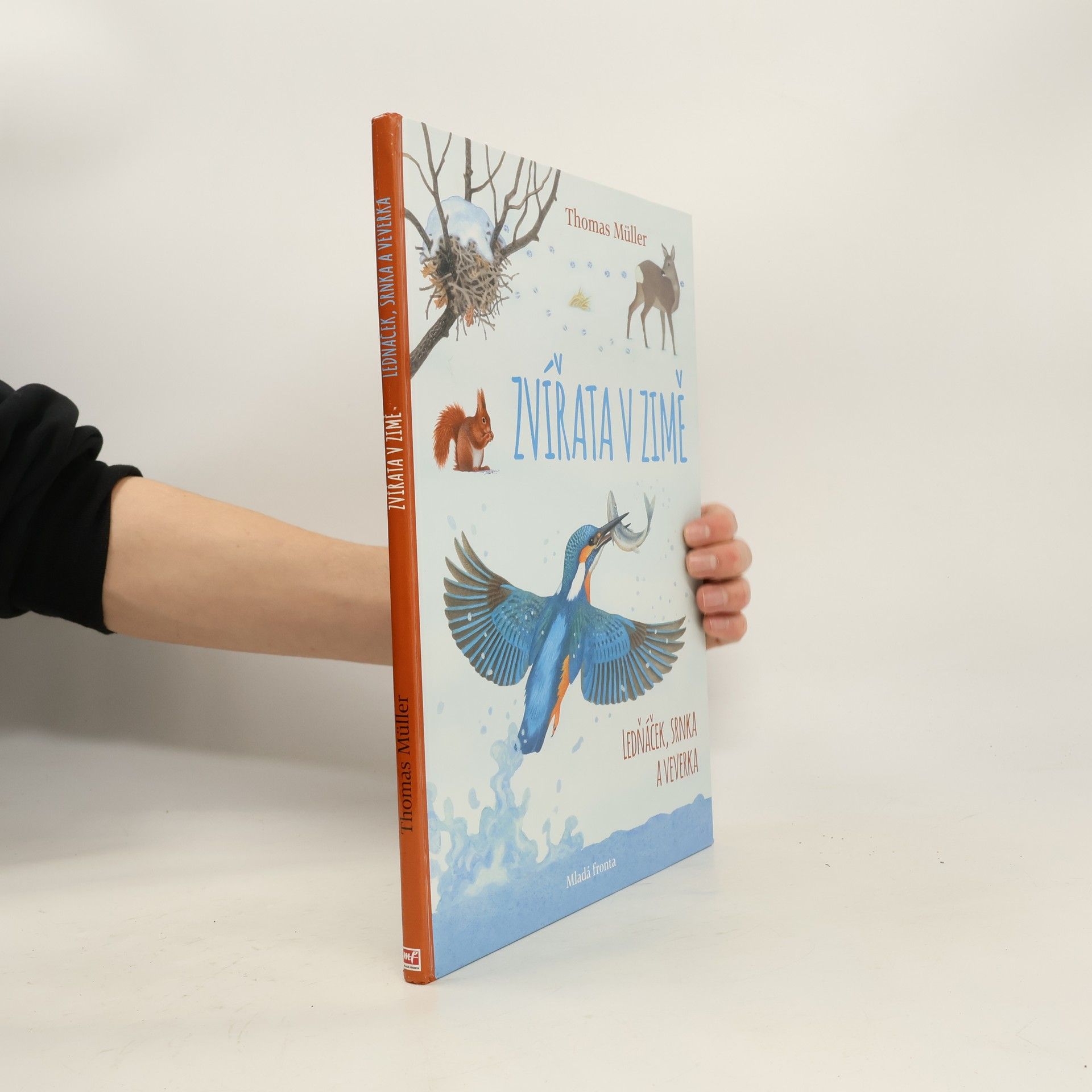 Thomas M. Müller Zvířata v zimě: Ledňáček, srnka a veverka