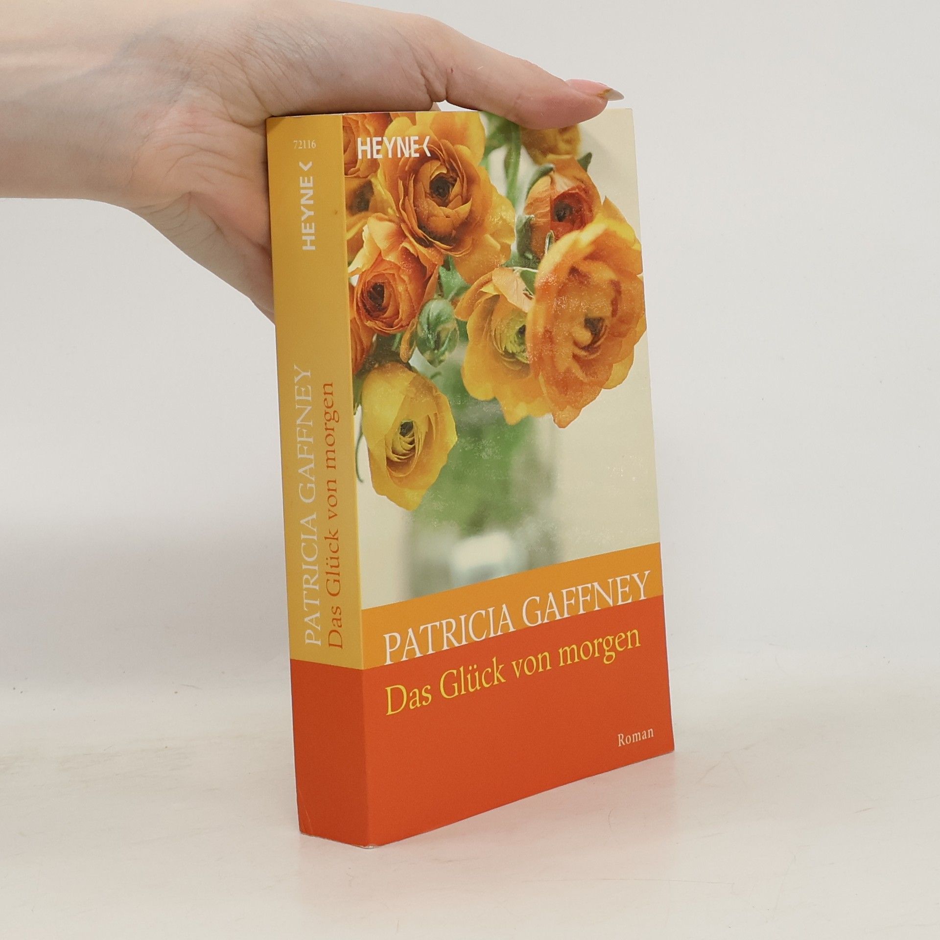 Das Glück von morgen. Roman