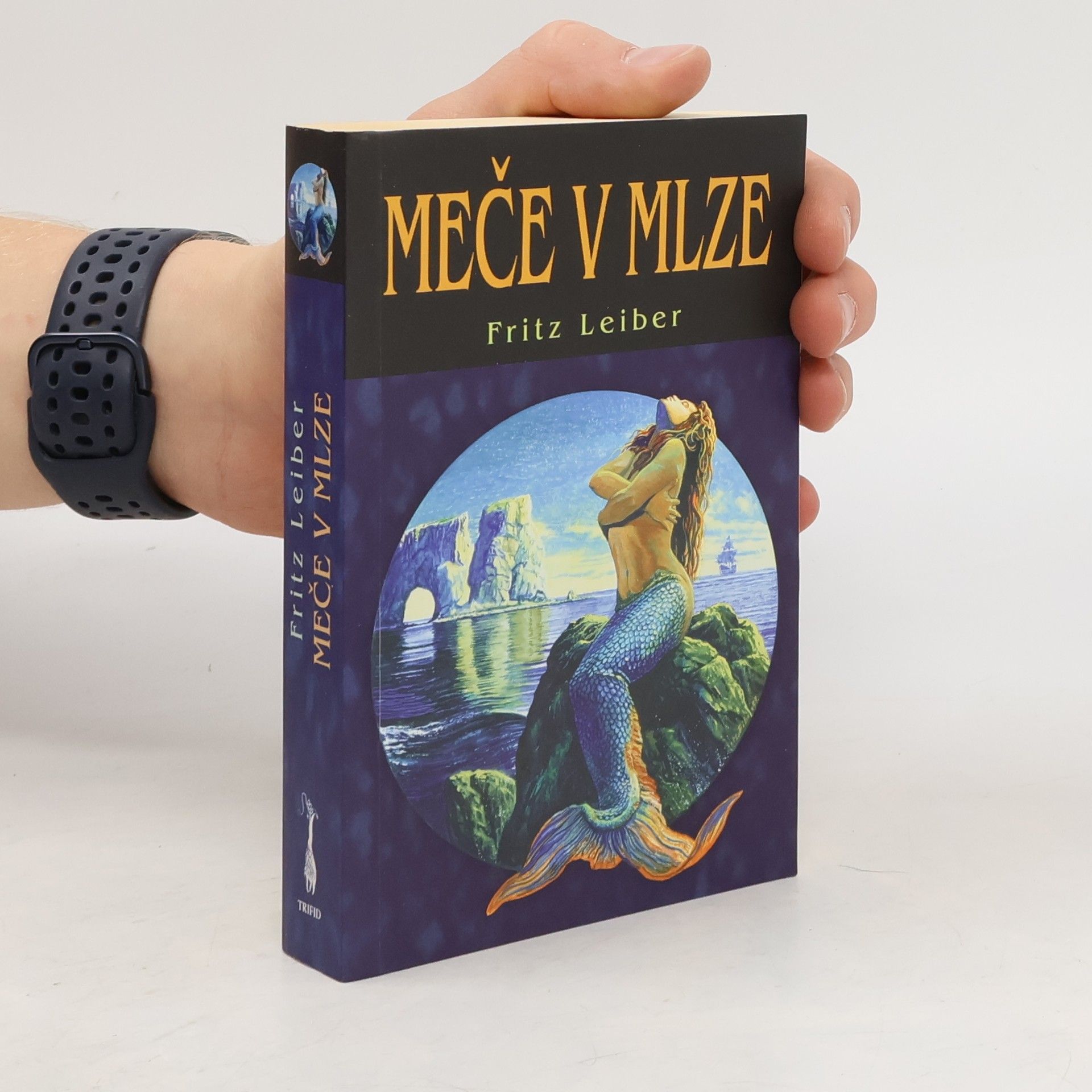 Fritz Leiber Meče v mlze