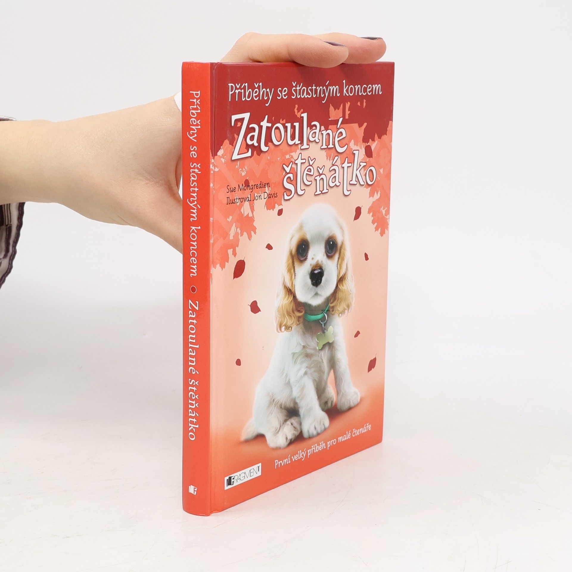 Jon Davis Zatoulané štěňátko